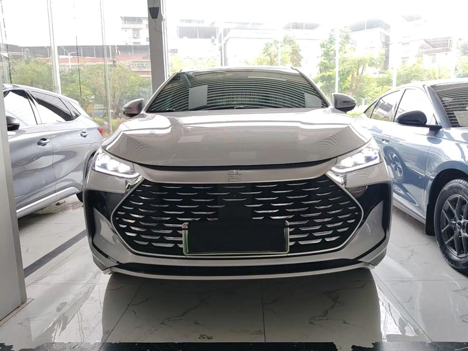 BYD Tang New Energy 2024 DM-i Glory Edition 112KM Prestige Model — миниатюра 2