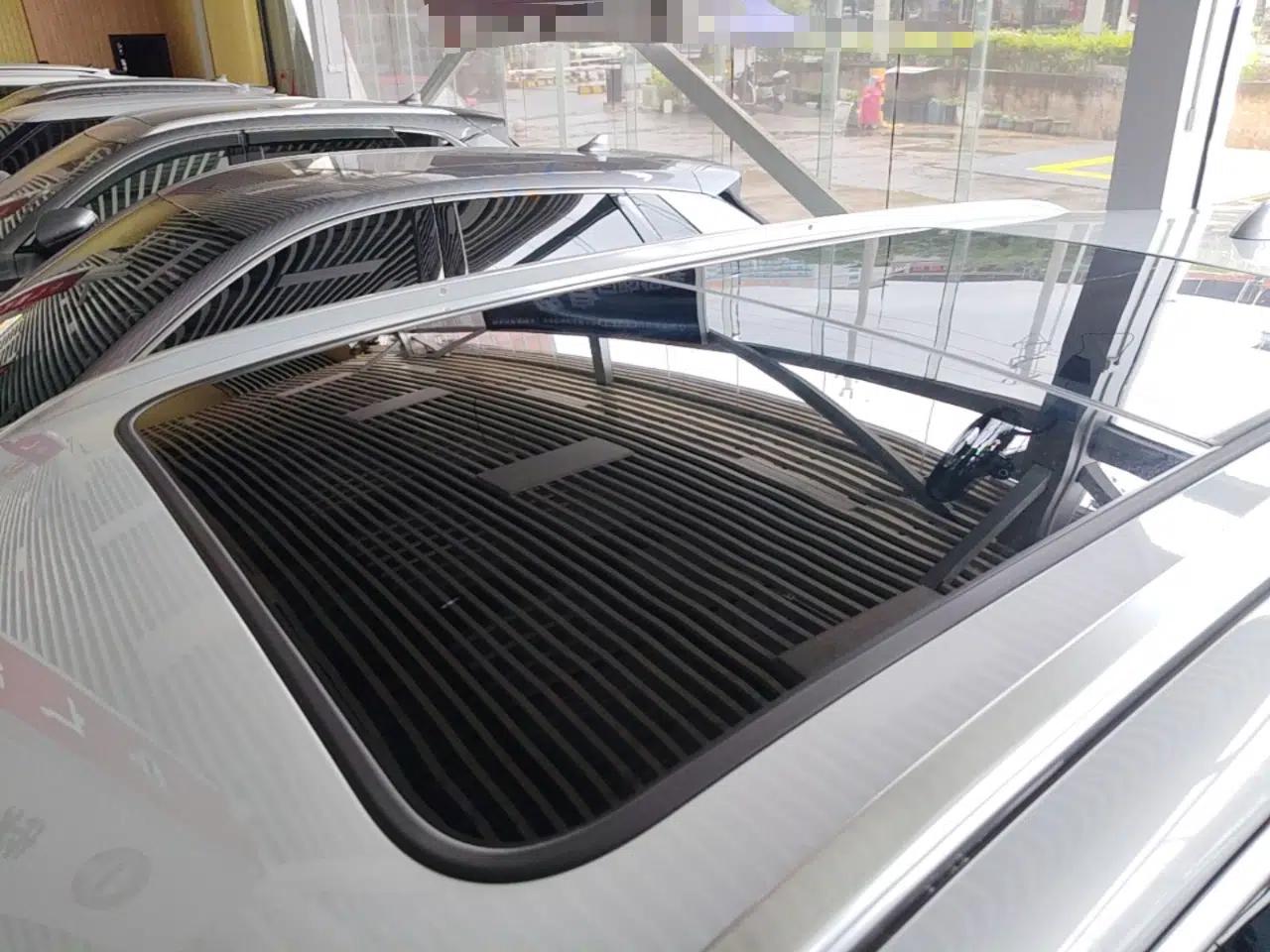 BYD Tang New Energy 2024 DM-i Glory Edition 112KM Prestige Model — миниатюра 7