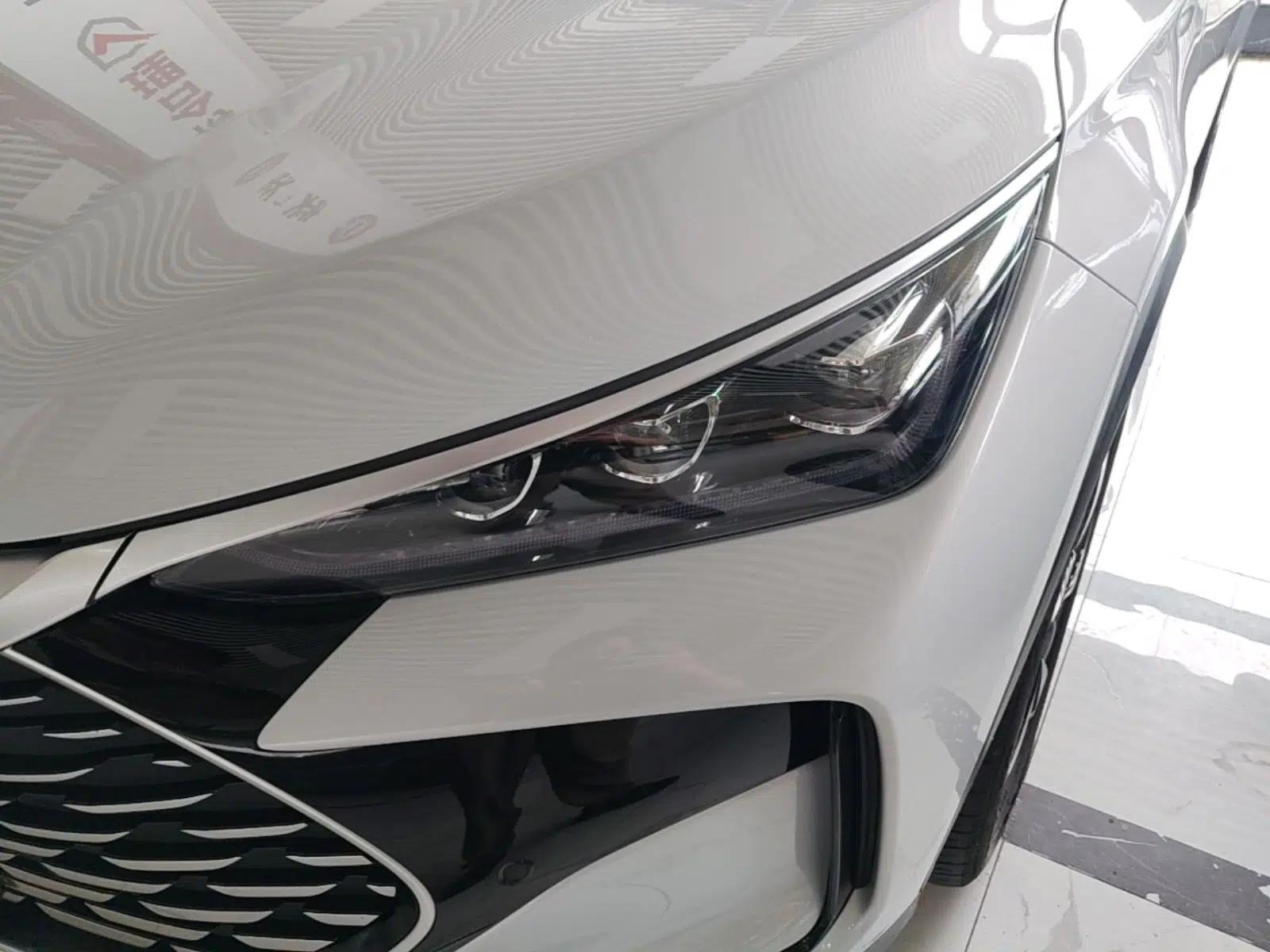 BYD Tang New Energy 2024 DM-i Glory Edition 112KM Prestige Model — миниатюра 8