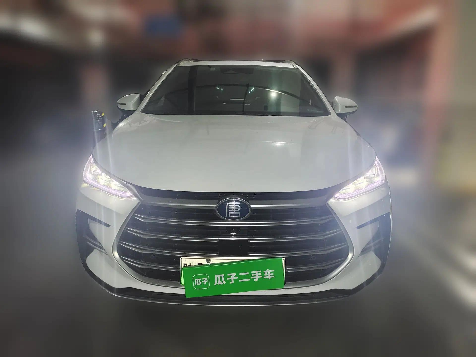 BYD Tang New Energy 2021 DM-i 112KM Prestige Model — миниатюра 2