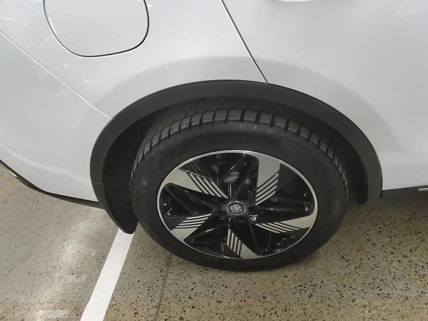 BYD Tang New Energy 2023 DM-i Champion Edition 112KM Prestige Model — миниатюра 11
