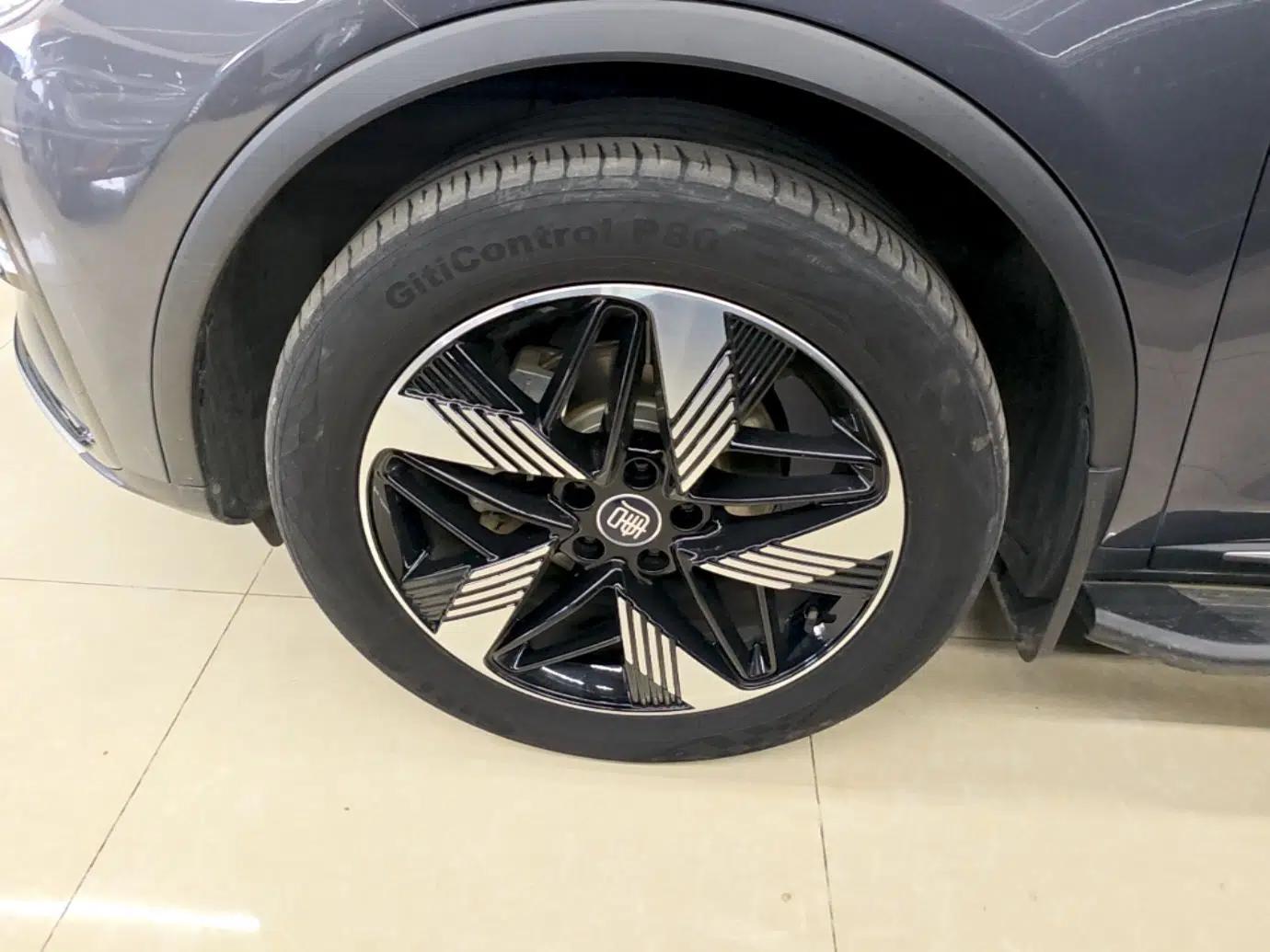 BYD Tang New Energy 2023 DM-i Champion Edition 112KM Prestige Model — миниатюра 12