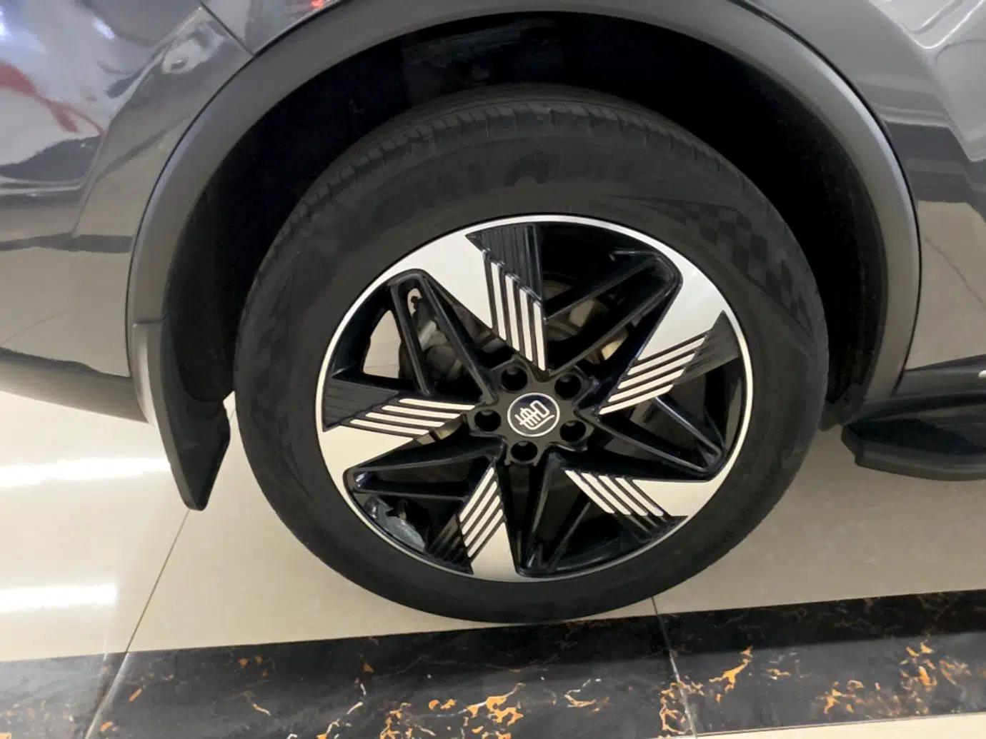 BYD Tang New Energy 2023 DM-i Champion Edition 112KM Prestige Model — миниатюра 13