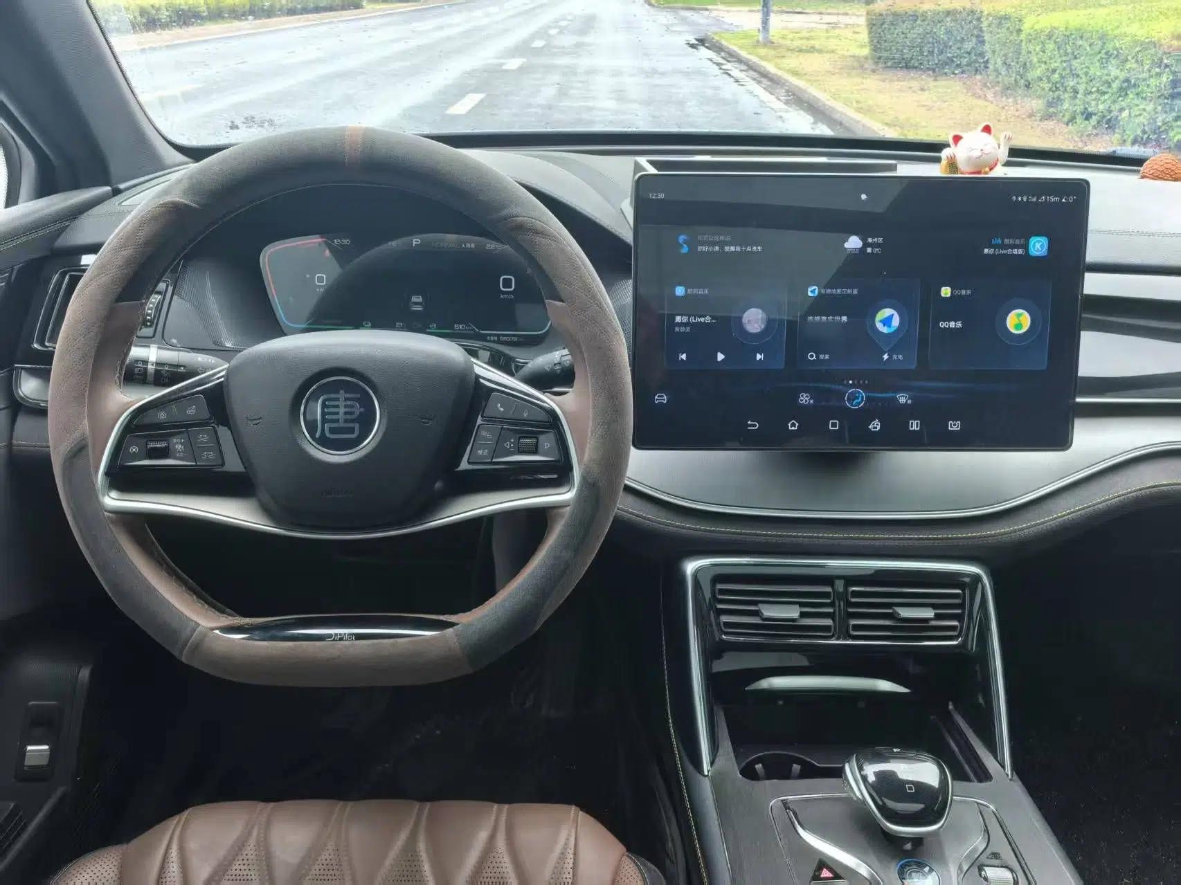BYD Tang New Energy 2023 DM-i Champion Edition 112KM Prestige Model — миниатюра 35