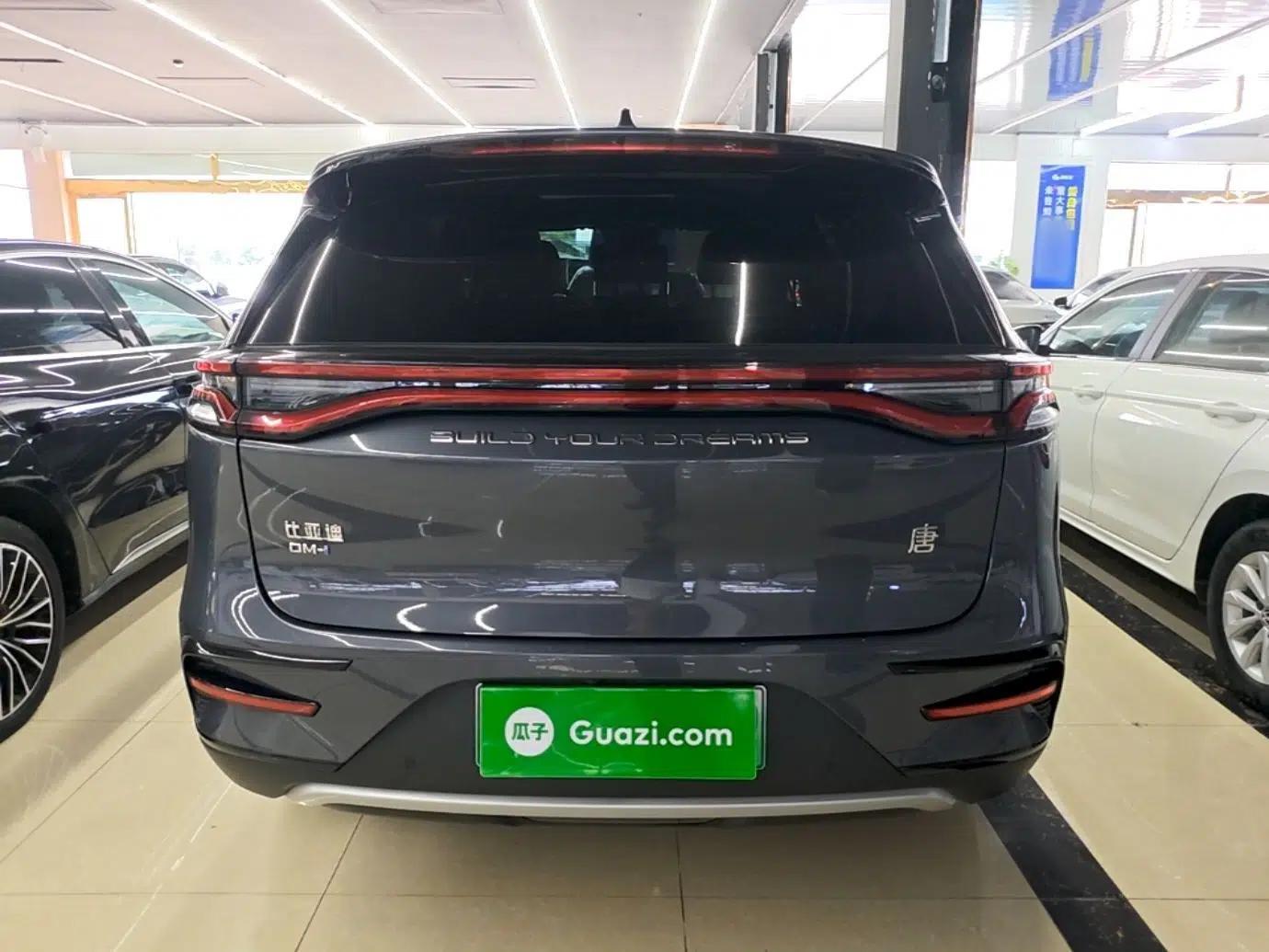 BYD Tang New Energy 2023 DM-i Champion Edition 112KM Prestige Model — миниатюра 5