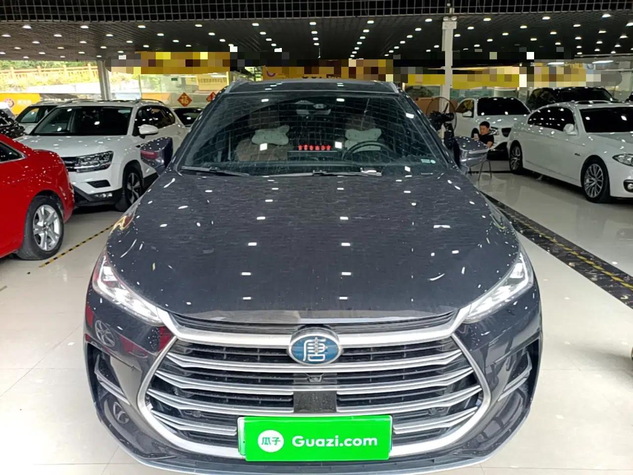 BYD Tang New Energy 2021 DM-i 112KM Prestige Model — миниатюра 2