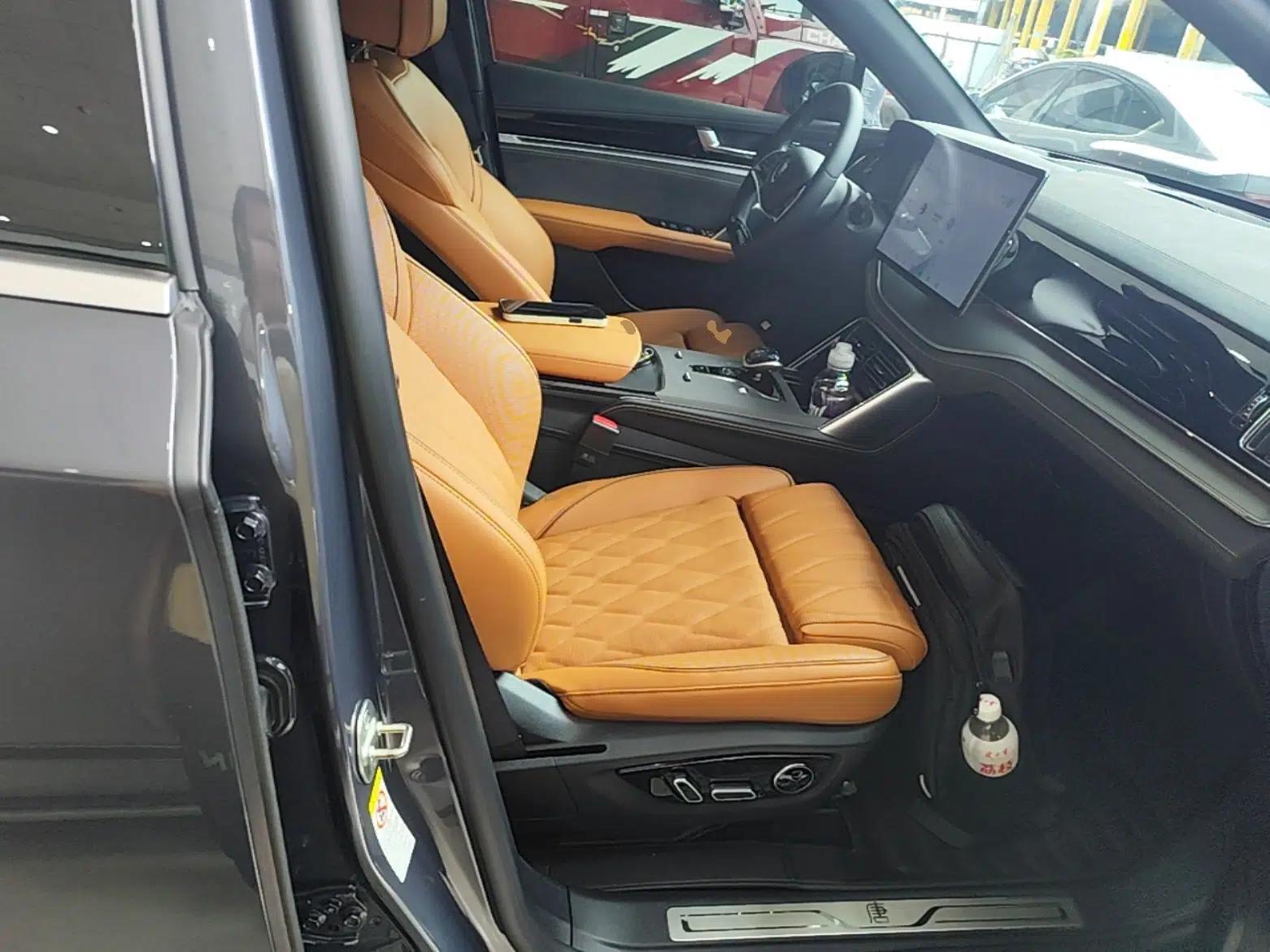 BYD Tang New Energy 2023 DM-i Champion Edition 112KM Prestige Model — миниатюра 24