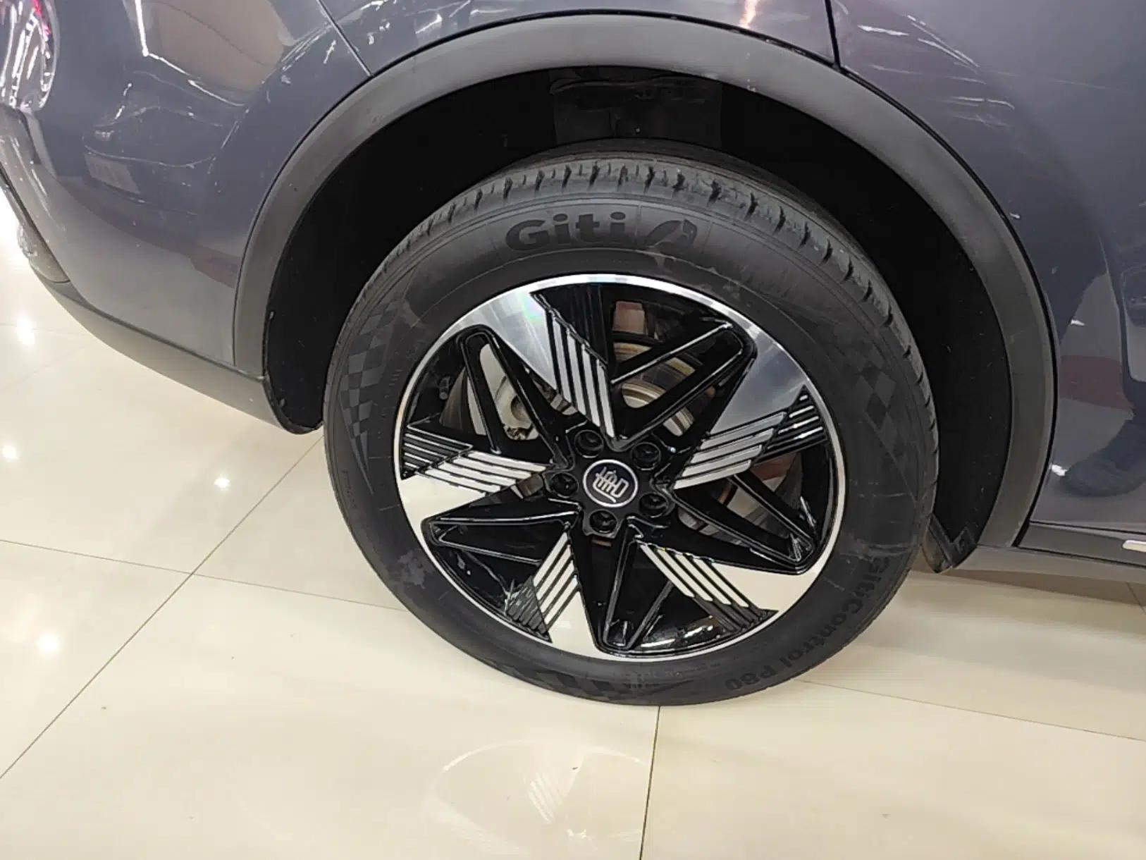 BYD Tang New Energy 2023 DM-i Champion Edition 112KM Prestige Model — миниатюра 16