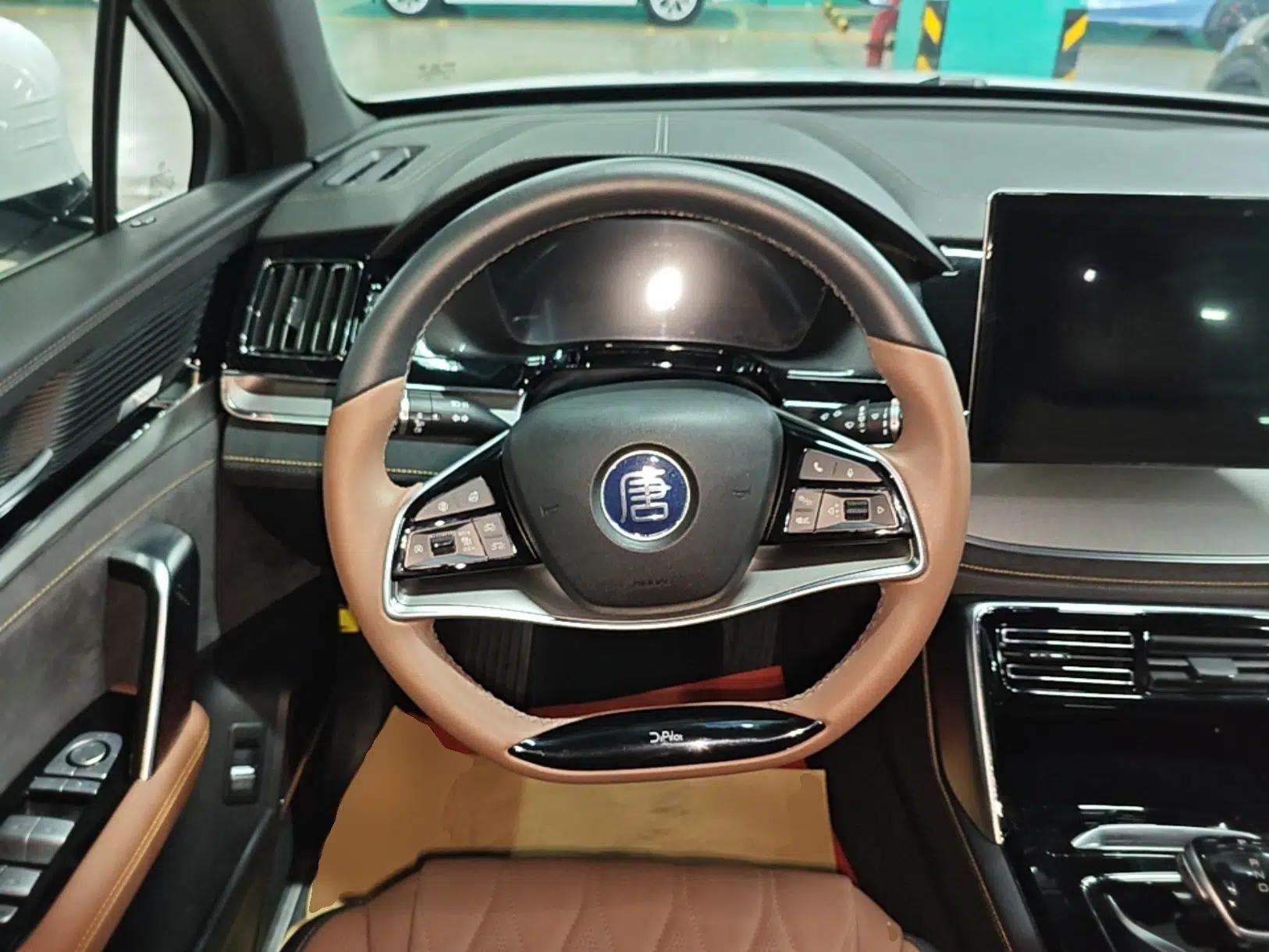 BYD Tang New Energy 2021 DM-i 112KM Prestige Model — миниатюра 13