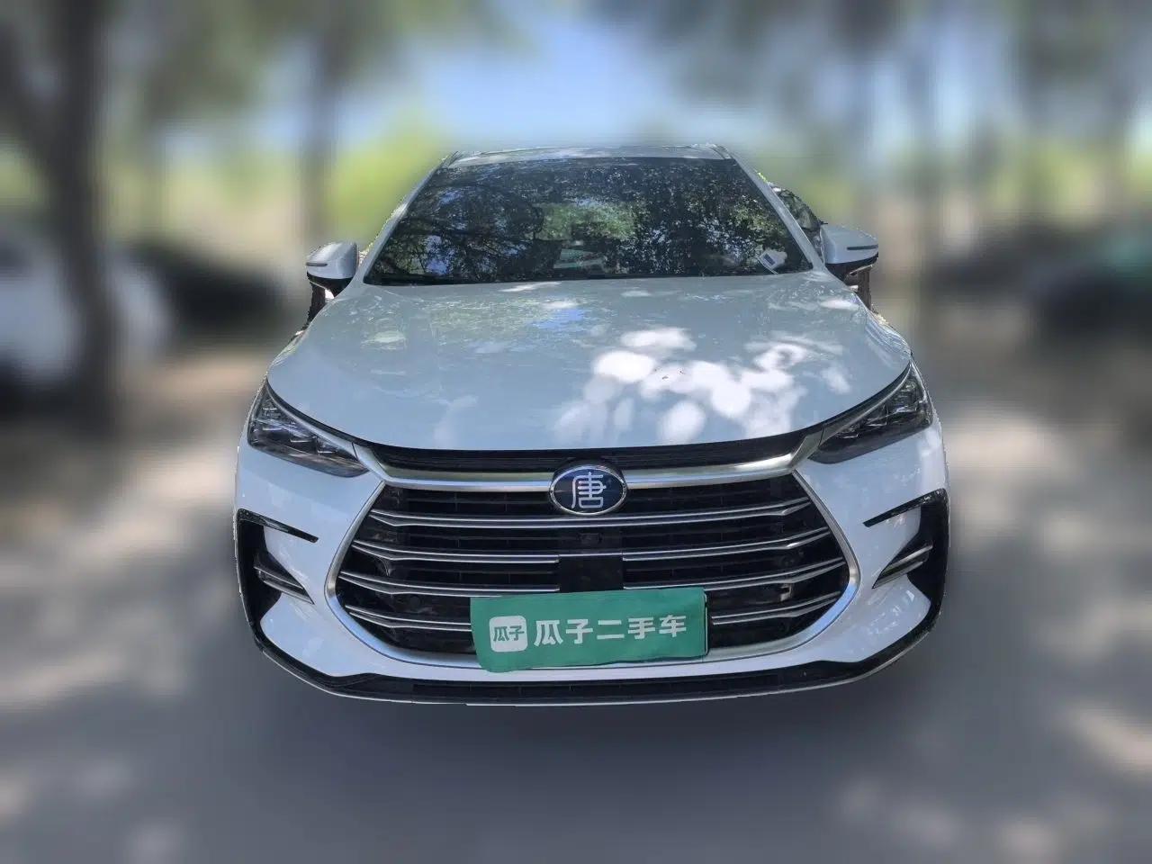 BYD Tang New Energy 2021 DM-i 112KM Prestige Model — миниатюра 2