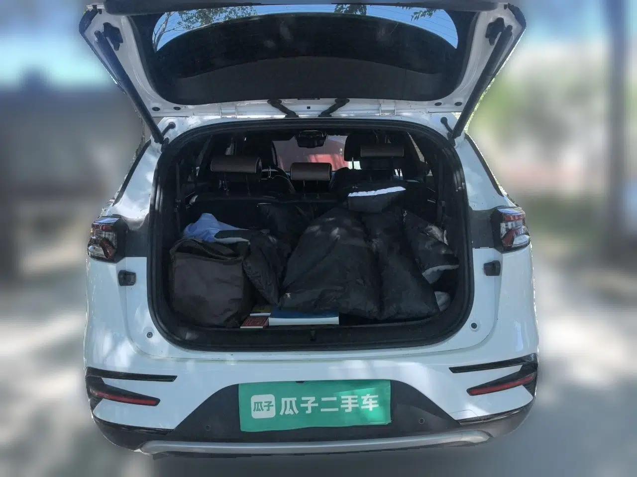 BYD Tang New Energy 2021 DM-i 112KM Prestige Model — миниатюра 19
