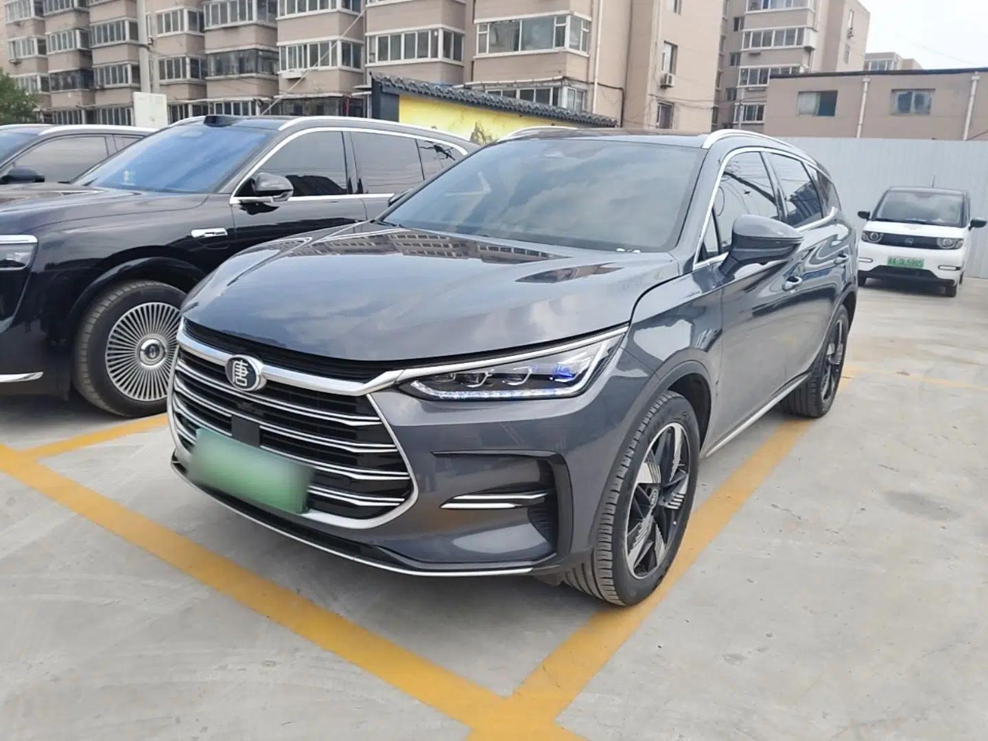 BYD Tang New Energy 2023 DM-i Champion Edition 112KM Prestige Model — миниатюра 1