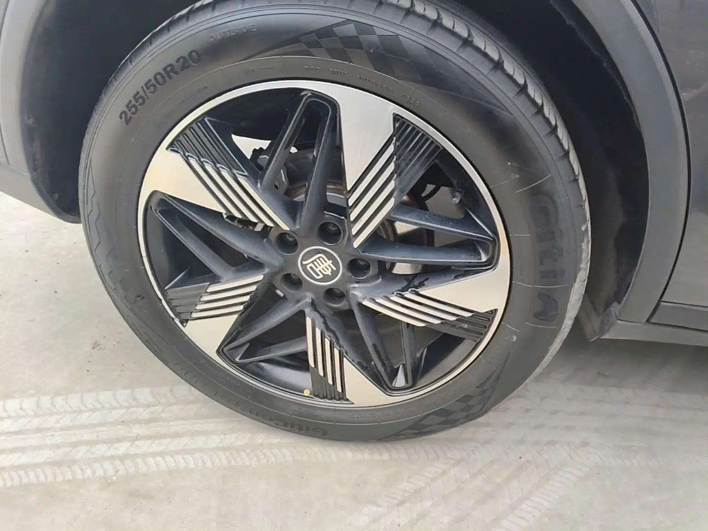 BYD Tang New Energy 2023 DM-i Champion Edition 112KM Prestige Model — миниатюра 16