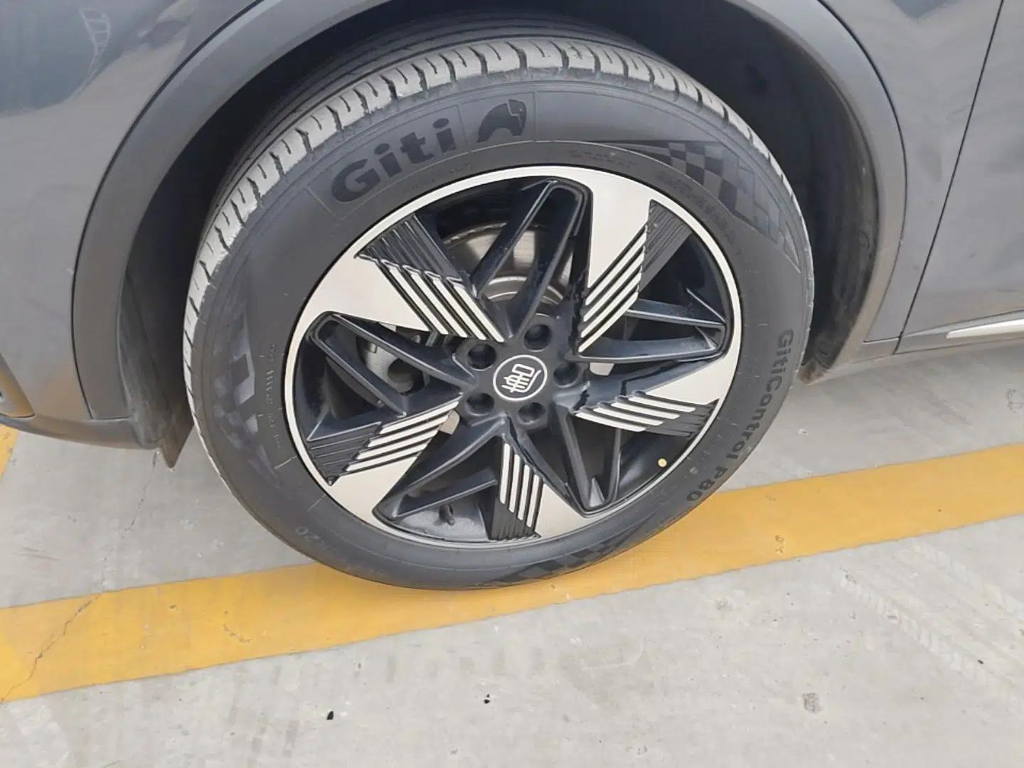 BYD Tang New Energy 2023 DM-i Champion Edition 112KM Prestige Model — миниатюра 10