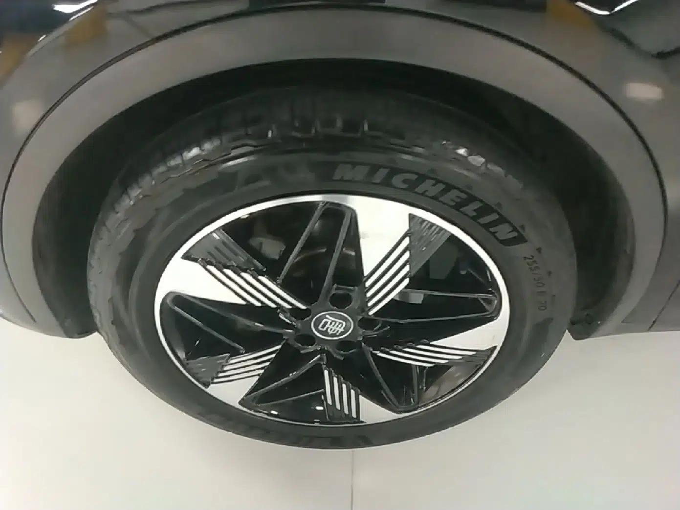 BYD Tang New Energy 2023 DM-i Champion Edition 112KM Prestige Model — миниатюра 10