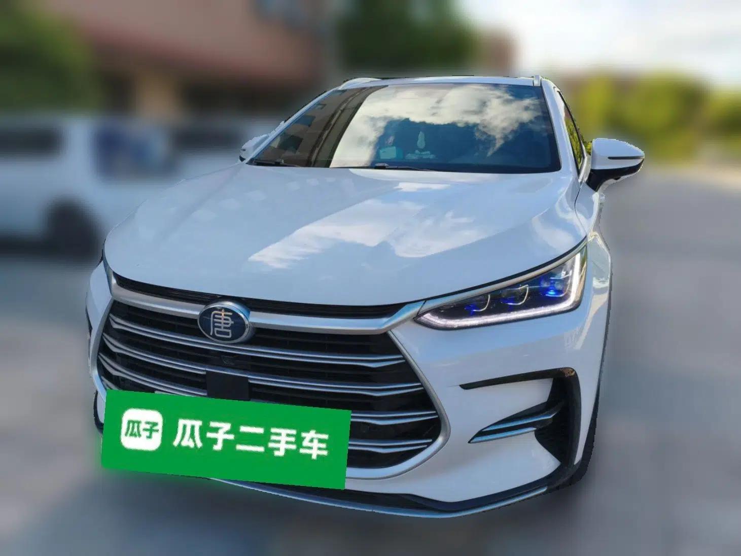 BYD Tang New Energy 2021 DM-i 112KM Prestige Model — миниатюра 2