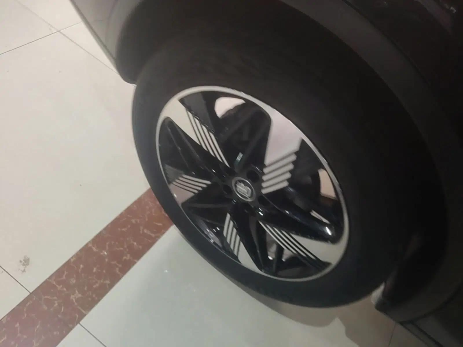 BYD Tang New Energy 2023 DM-i Champion Edition 112KM Prestige Model — миниатюра 11