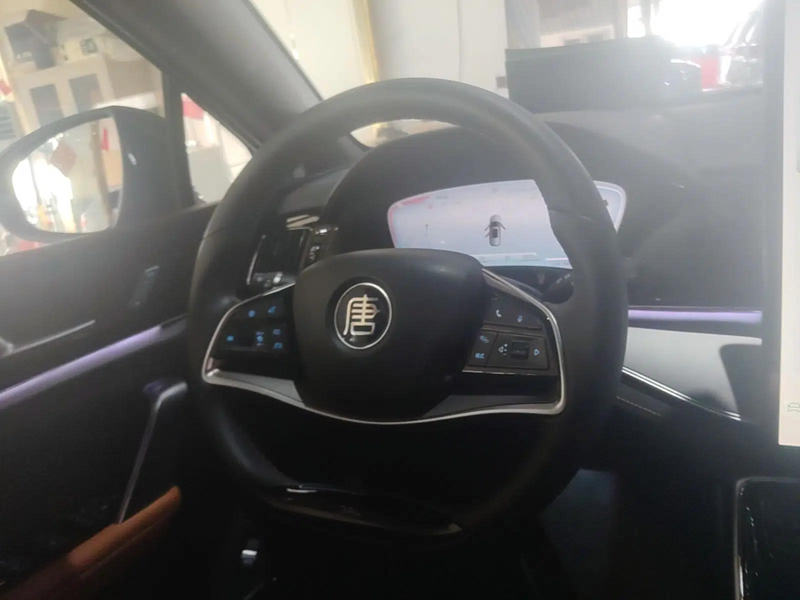 BYD Tang New Energy 2023 DM-i Champion Edition 112KM Prestige Model — миниатюра 13