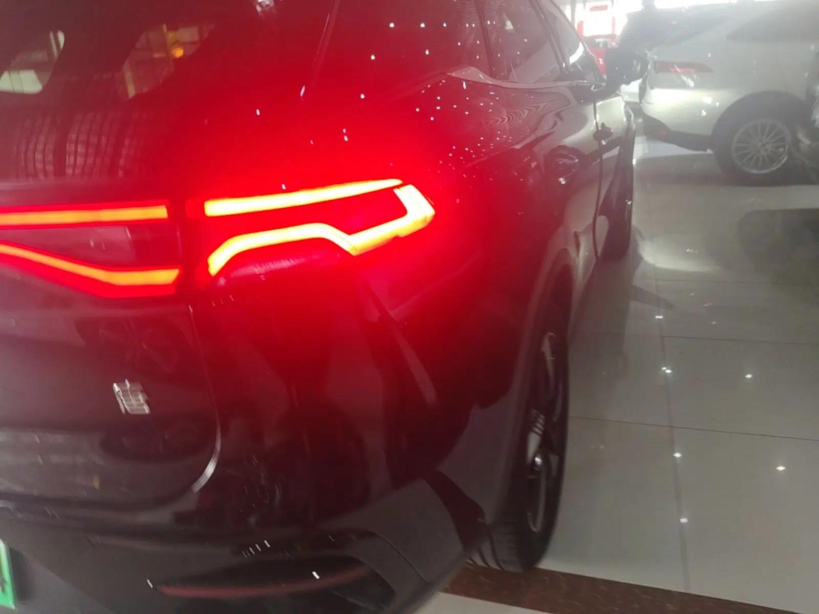 BYD Tang New Energy 2023 DM-i Champion Edition 112KM Prestige Model — миниатюра 9