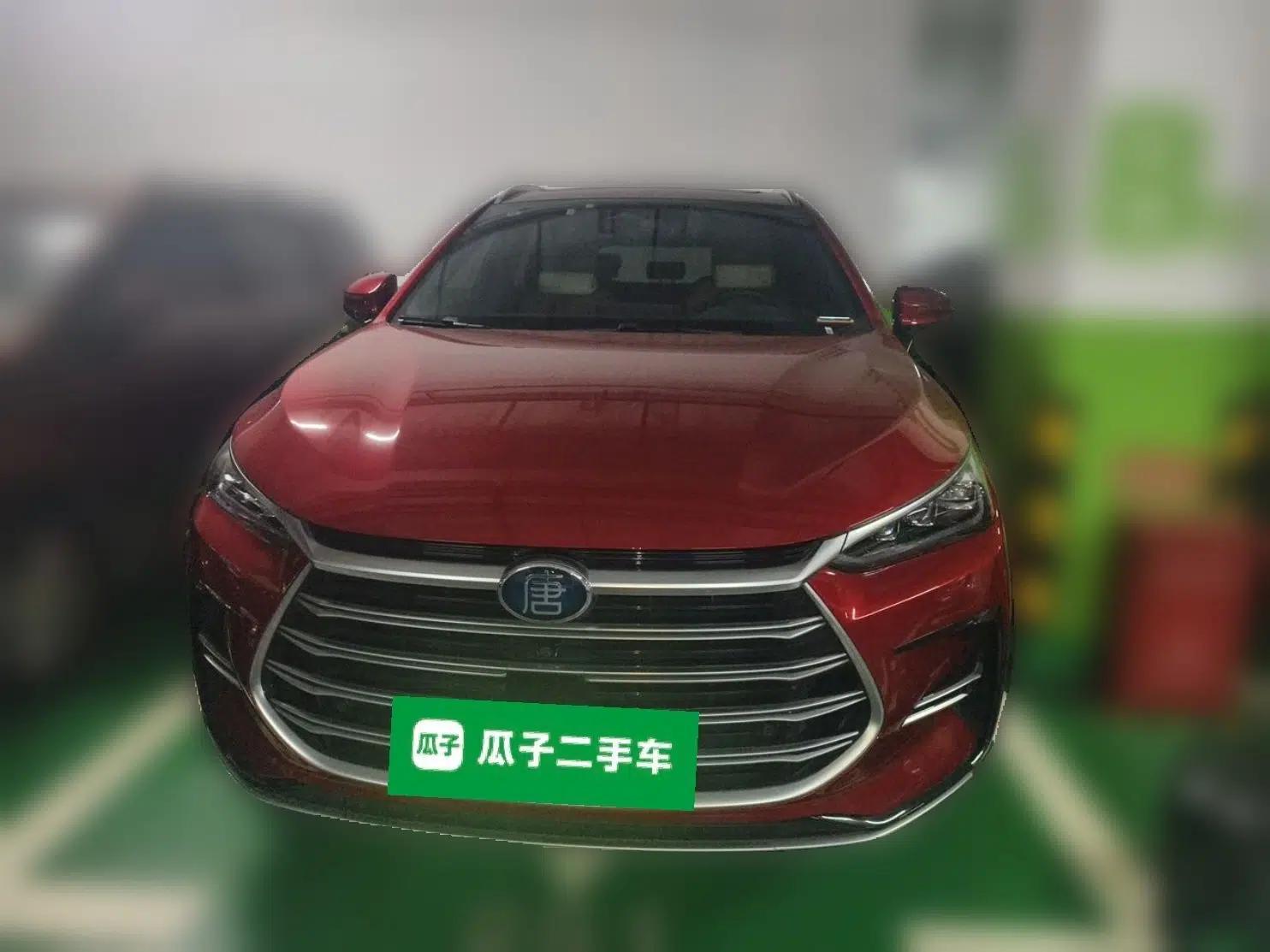 BYD Tang New Energy 2021 DM-i 112KM Prestige Model — миниатюра 2