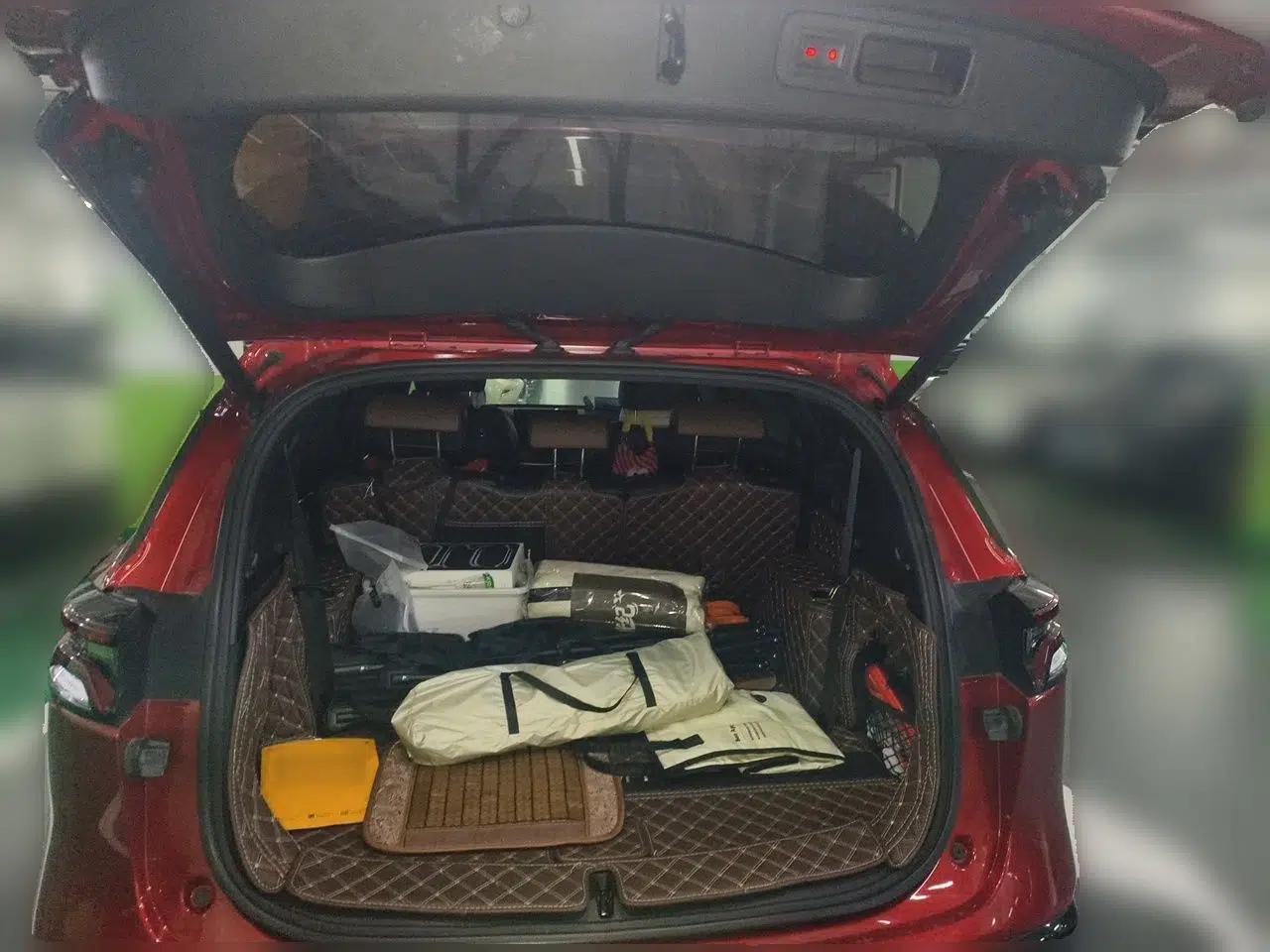 BYD Tang New Energy 2021 DM-i 112KM Prestige Model — миниатюра 19