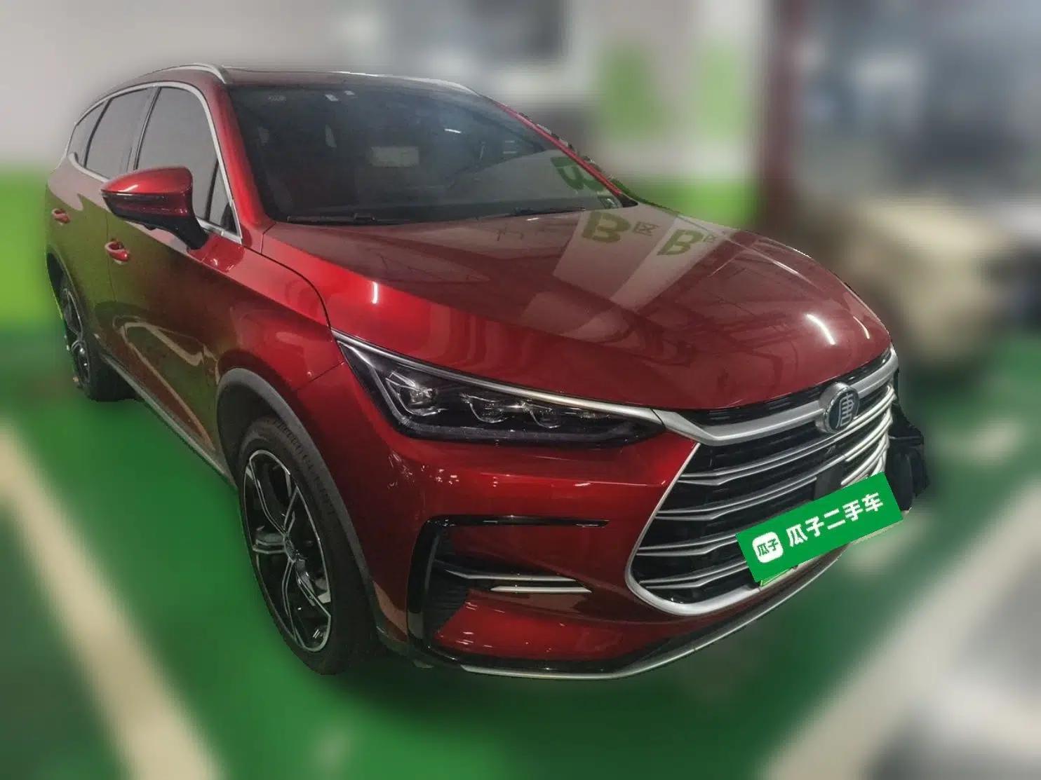 BYD Tang New Energy 2021 DM-i 112KM Prestige Model — миниатюра 3