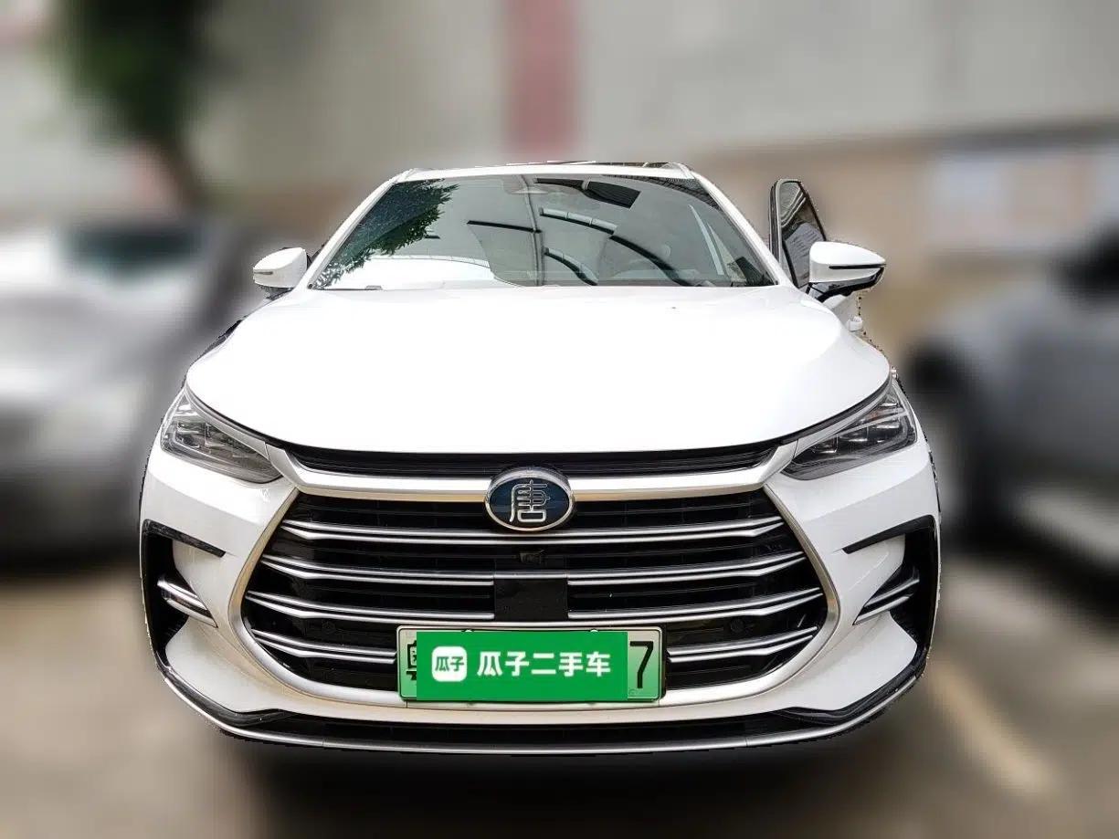 BYD Tang New Energy 2021 DM-i 112KM Prestige Model — миниатюра 2