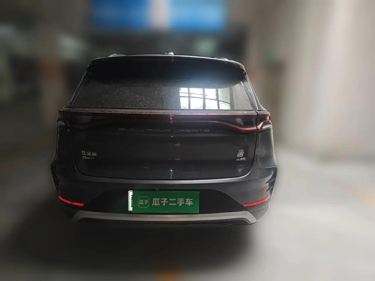 BYD Tang New Energy 2022 DM-p 215KM Four-Wheel Drive Flagship Model — миниатюра 5