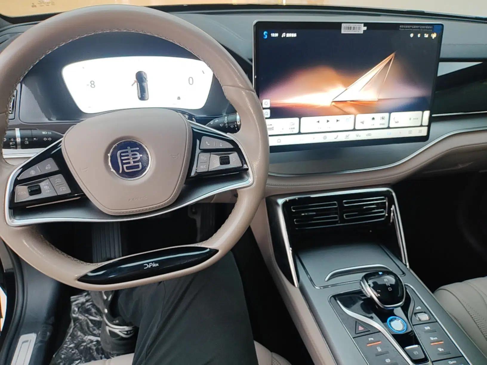 BYD Tang New Energy 2024 DM-i Glory Edition 112KM Prestige Model — миниатюра 12