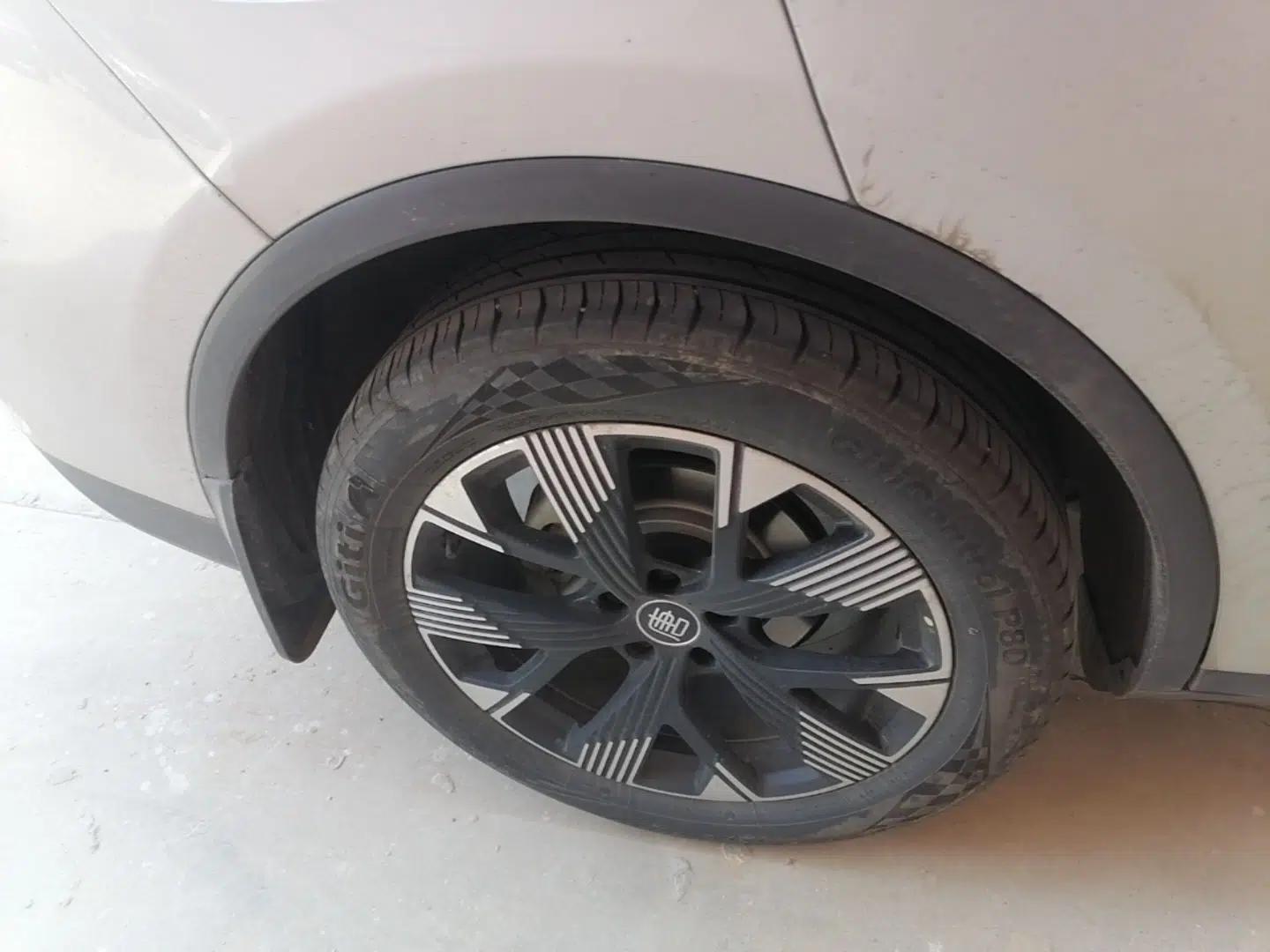 BYD Tang New Energy 2024 DM-i Glory Edition 112KM Flagship Model — миниатюра 11