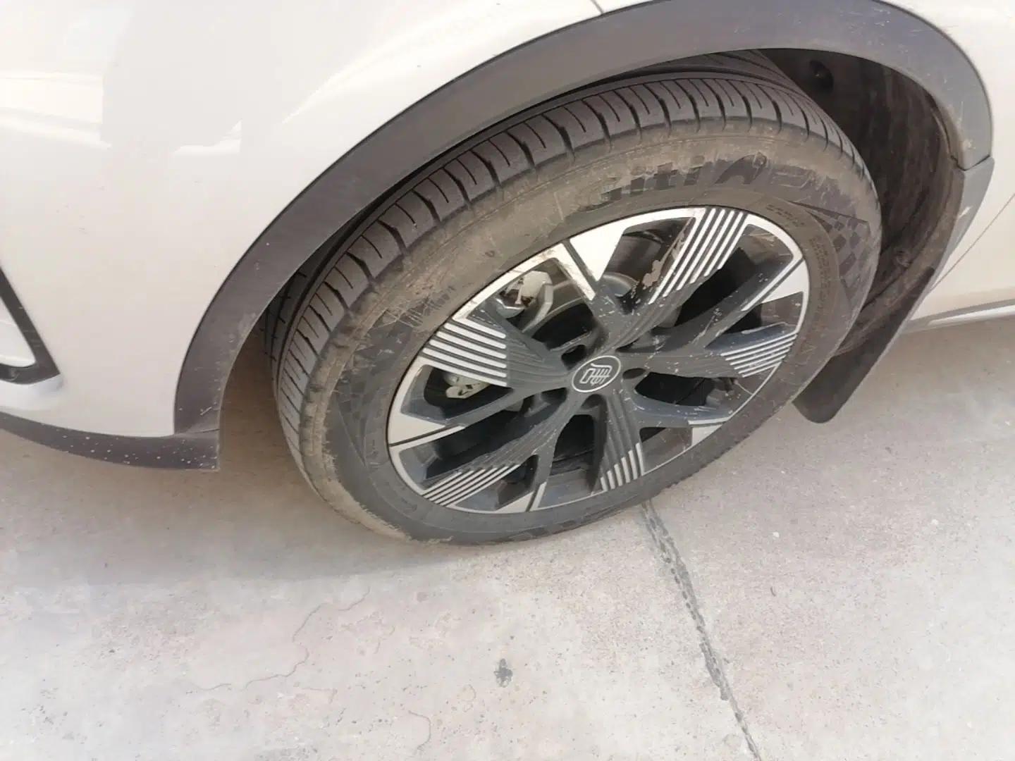 BYD Tang New Energy 2024 DM-i Glory Edition 112KM Flagship Model — миниатюра 10