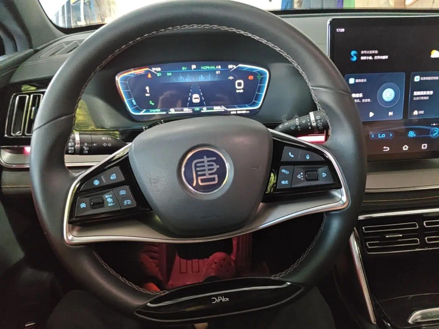 BYD Tang New Energy 2023 DM-i Champion Edition 112KM Prestige Model — миниатюра 18