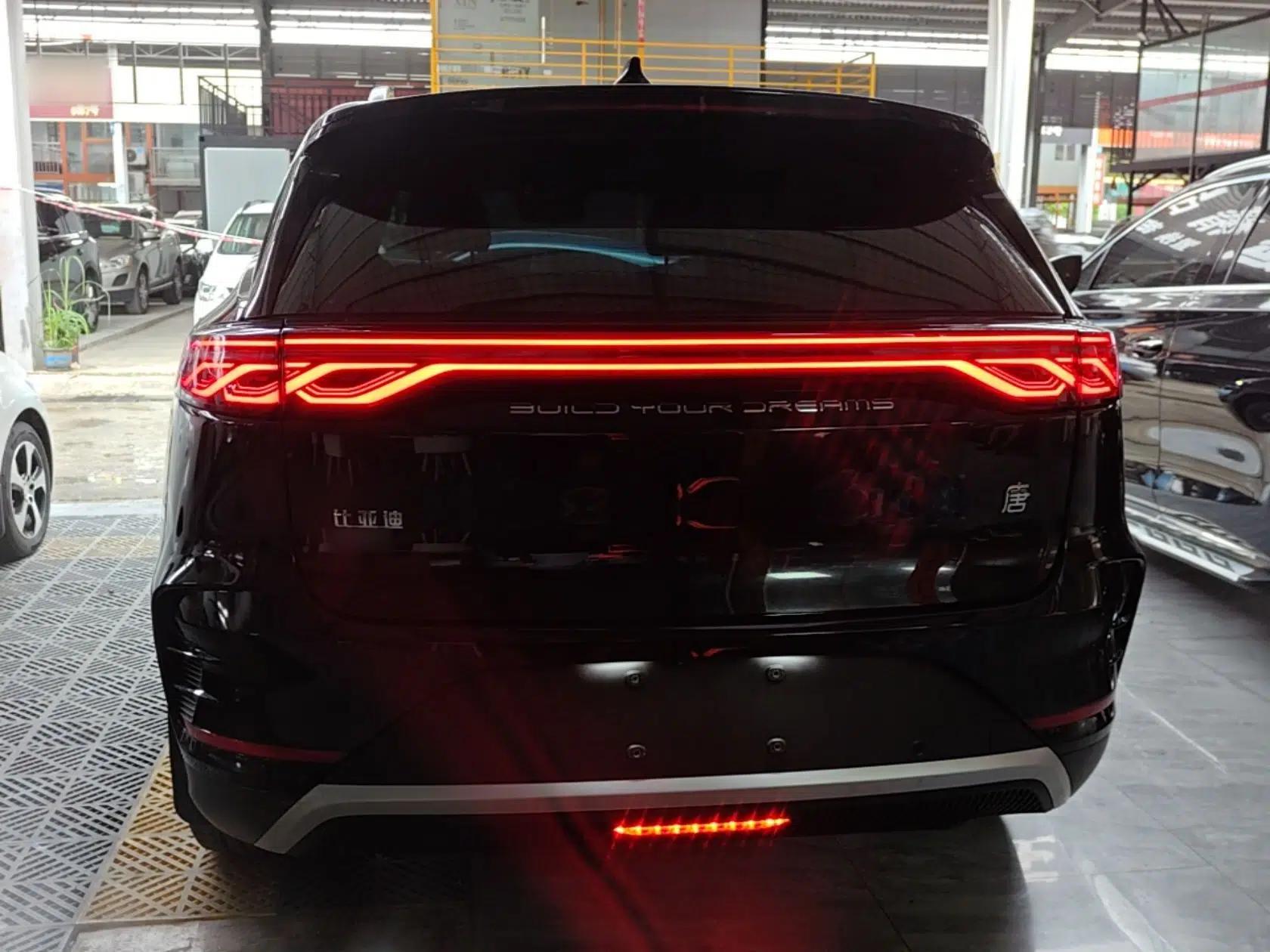 BYD Tang New Energy 2023 DM-i Champion Edition 112KM Prestige Model — миниатюра 3
