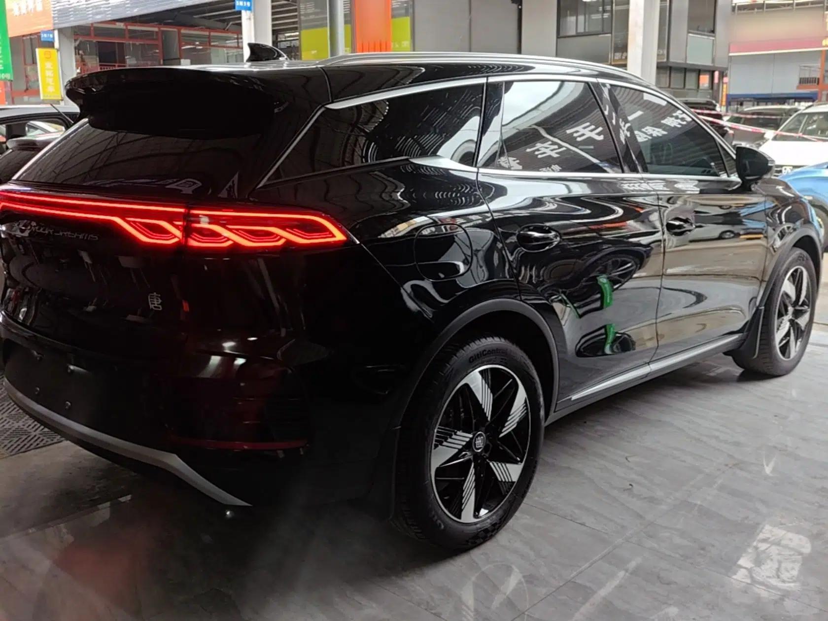 BYD Tang New Energy 2023 DM-i Champion Edition 112KM Prestige Model — миниатюра 4