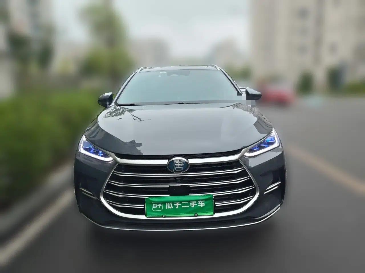 BYD Tang New Energy 2021 DM-i 112KM Prestige Model — миниатюра 2