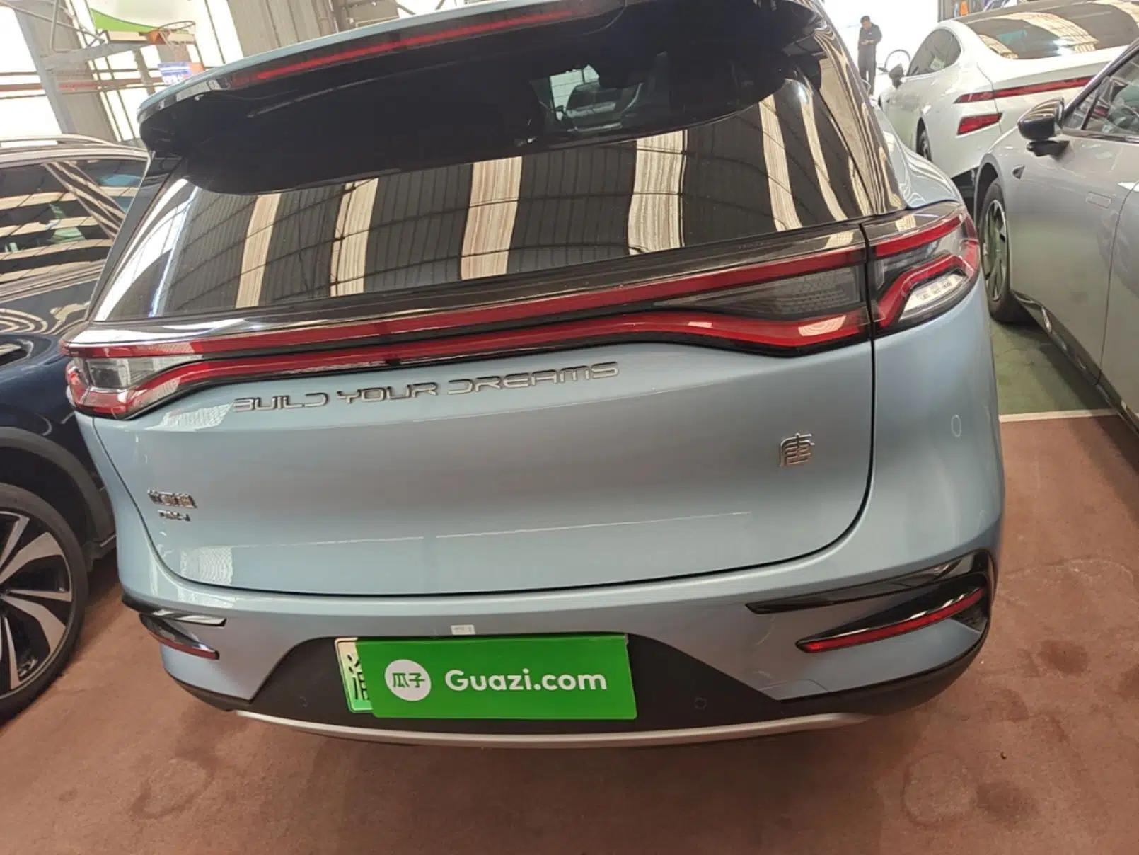 BYD Tang New Energy 2023 DM-i Champion Edition 112KM Prestige Model — миниатюра 5