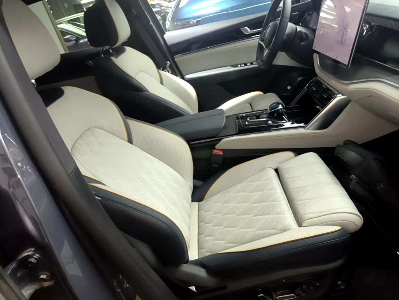 BYD Tang New Energy 2022 EV 600KM Luxury Model — миниатюра 19