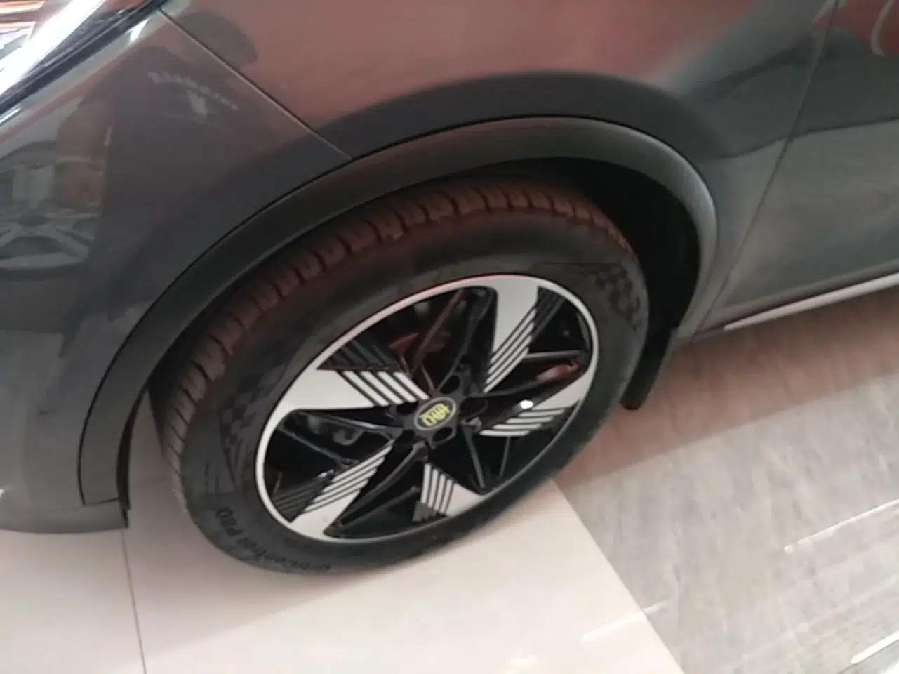 BYD Tang New Energy 2024 DM-i Glory Edition 112KM Prestige Model — миниатюра 10