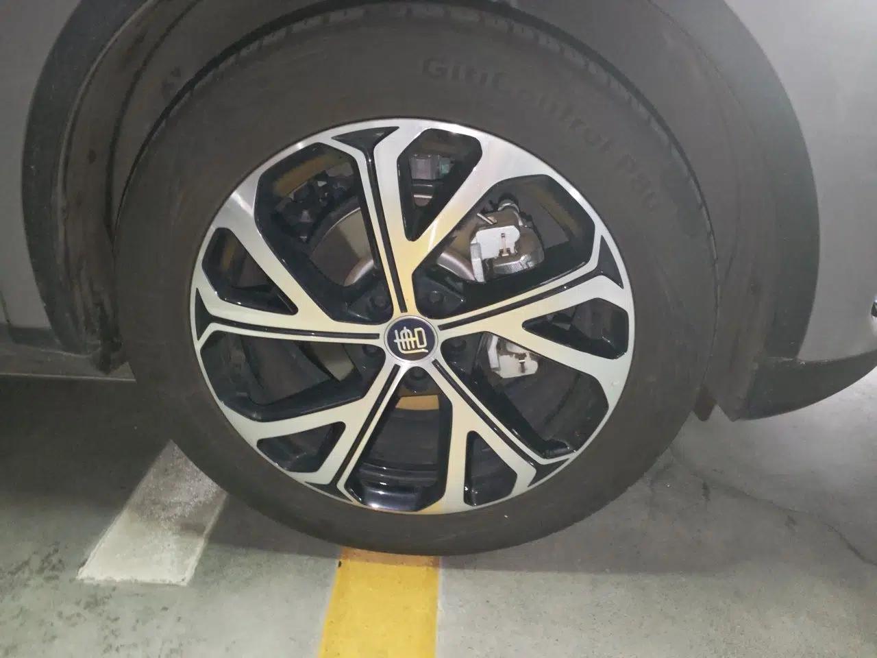 BYD Tang New Energy 2025 DM-i 115KM Prestige Model — миниатюра 8