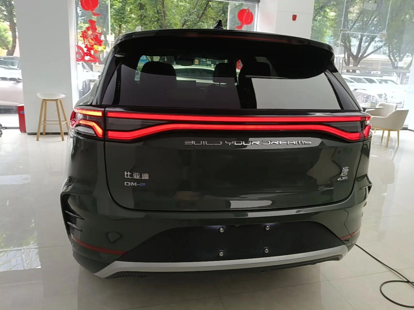 BYD Tang New Energy 2022 DM-p 215KM Four-Wheel Drive Flagship Model — миниатюра 5
