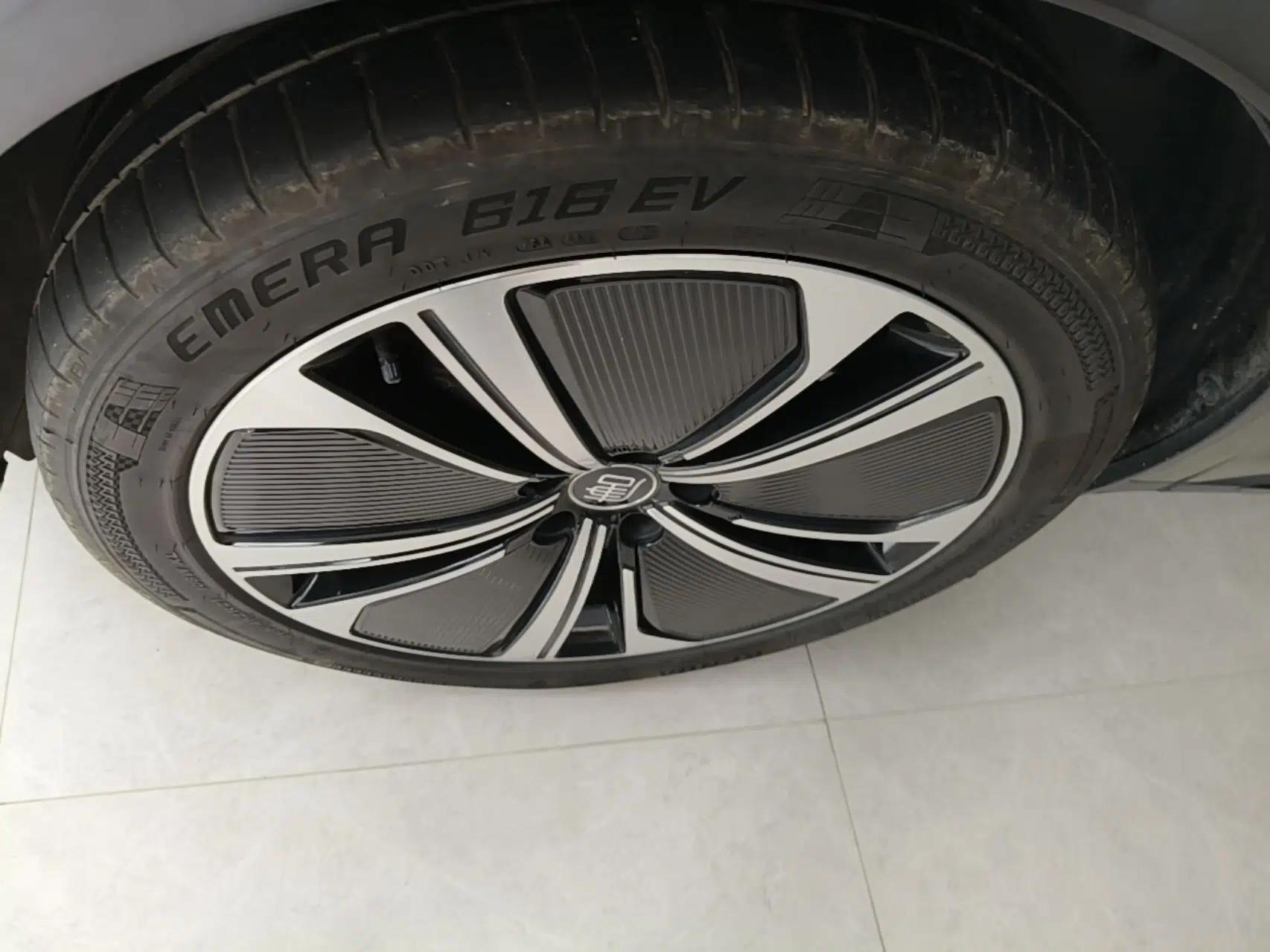 BYD Tang New Energy 2022 DM-p 215KM Four-Wheel Drive Flagship Model — миниатюра 10