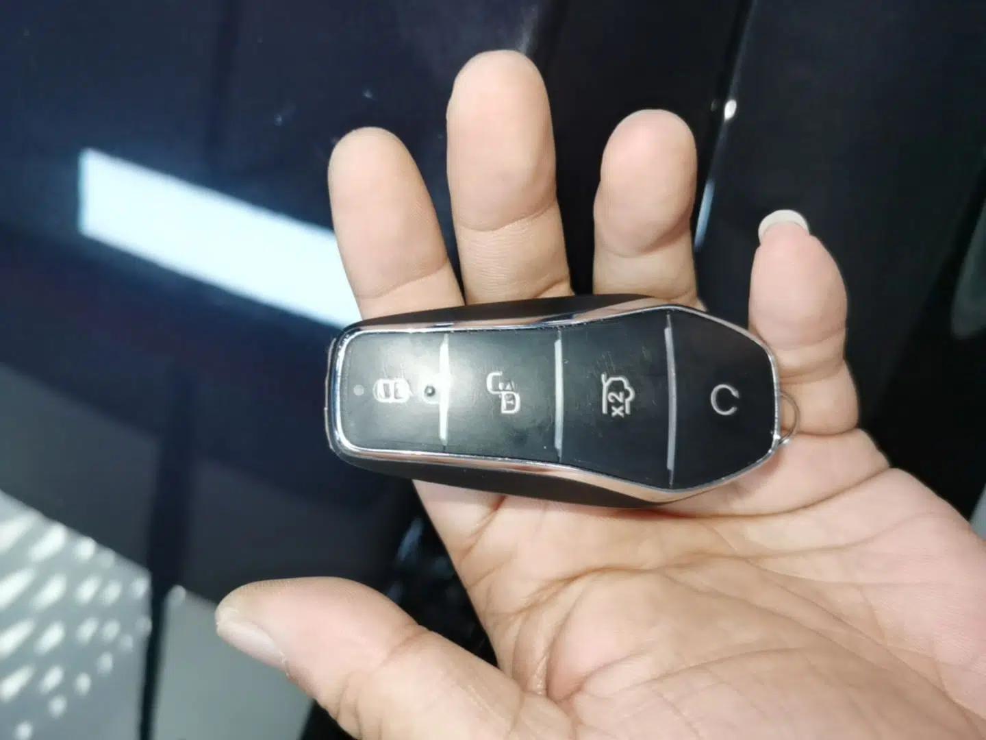 BYD Tang New Energy 2025 Intelligent Driving Version DM-i 115KM Flagship Edition — миниатюра 28