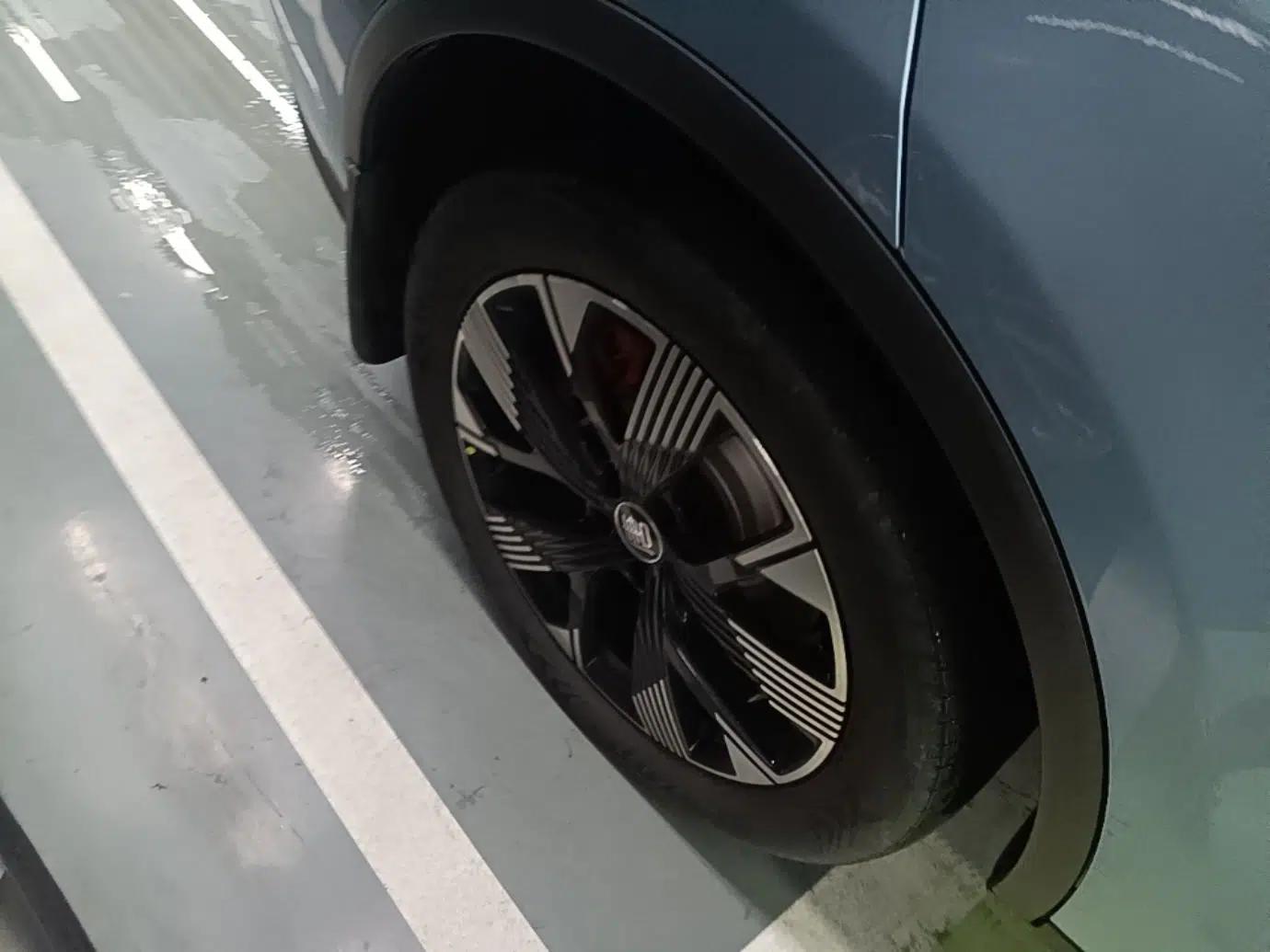 BYD Tang New Energy 2024 DM-p Champion Edition 215 km All-Wheel-Drive Flagship Model — миниатюра 11