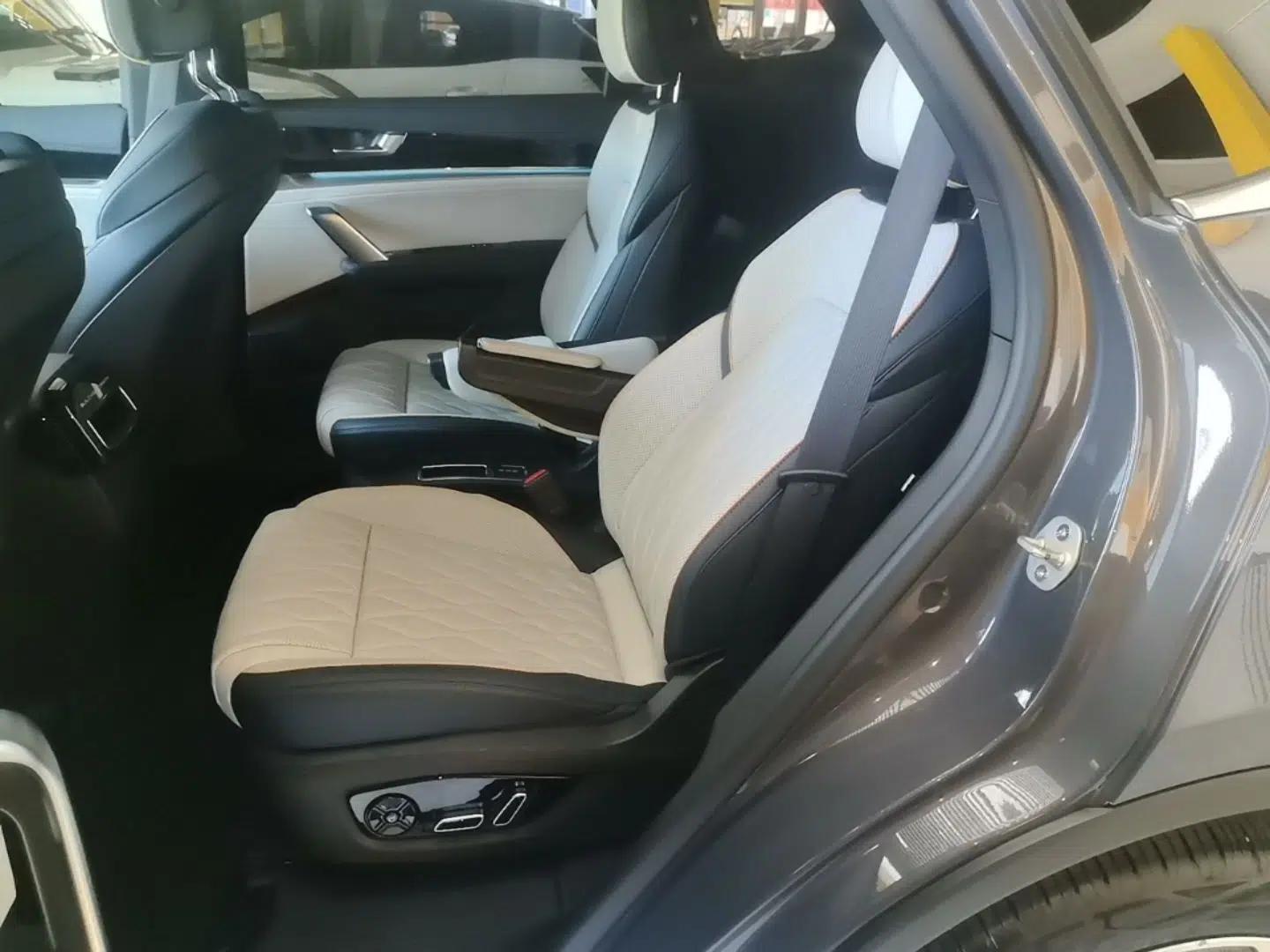 BYD Tang New Energy 2022 DM-p 215KM Four-Wheel Drive Flagship Model — миниатюра 25
