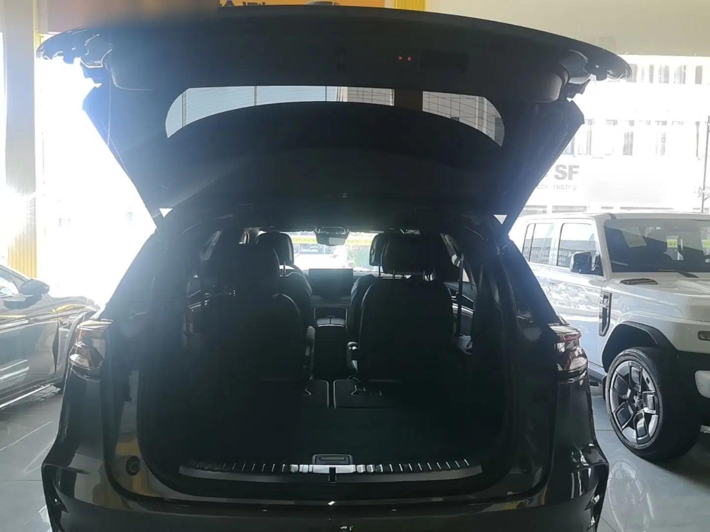 BYD Tang New Energy 2022 DM-p 215KM Four-Wheel Drive Flagship Model — миниатюра 27