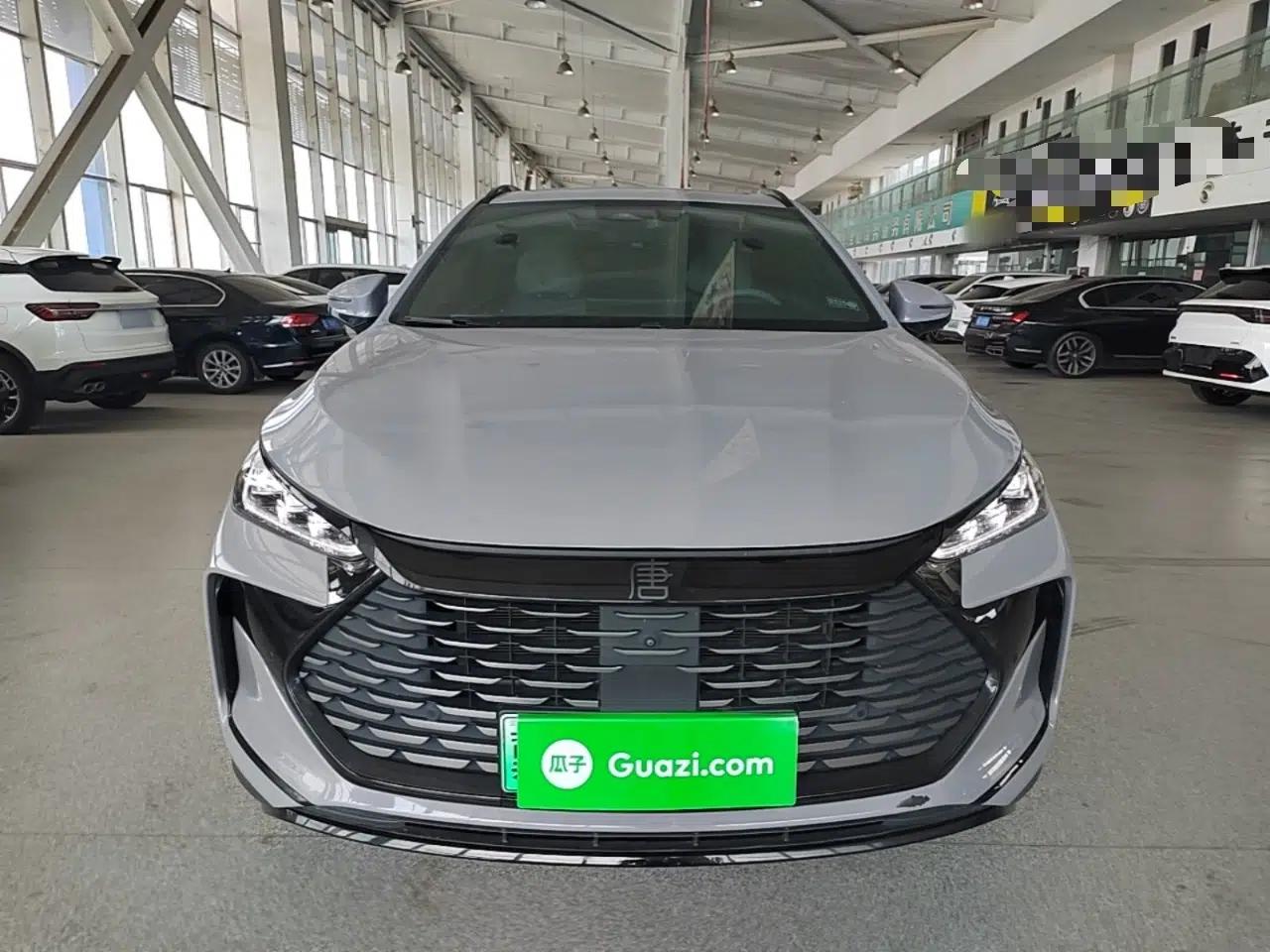 BYD Tang New Energy 2025 DM-i 115KM Cloud Ride Flagship Model — миниатюра 2
