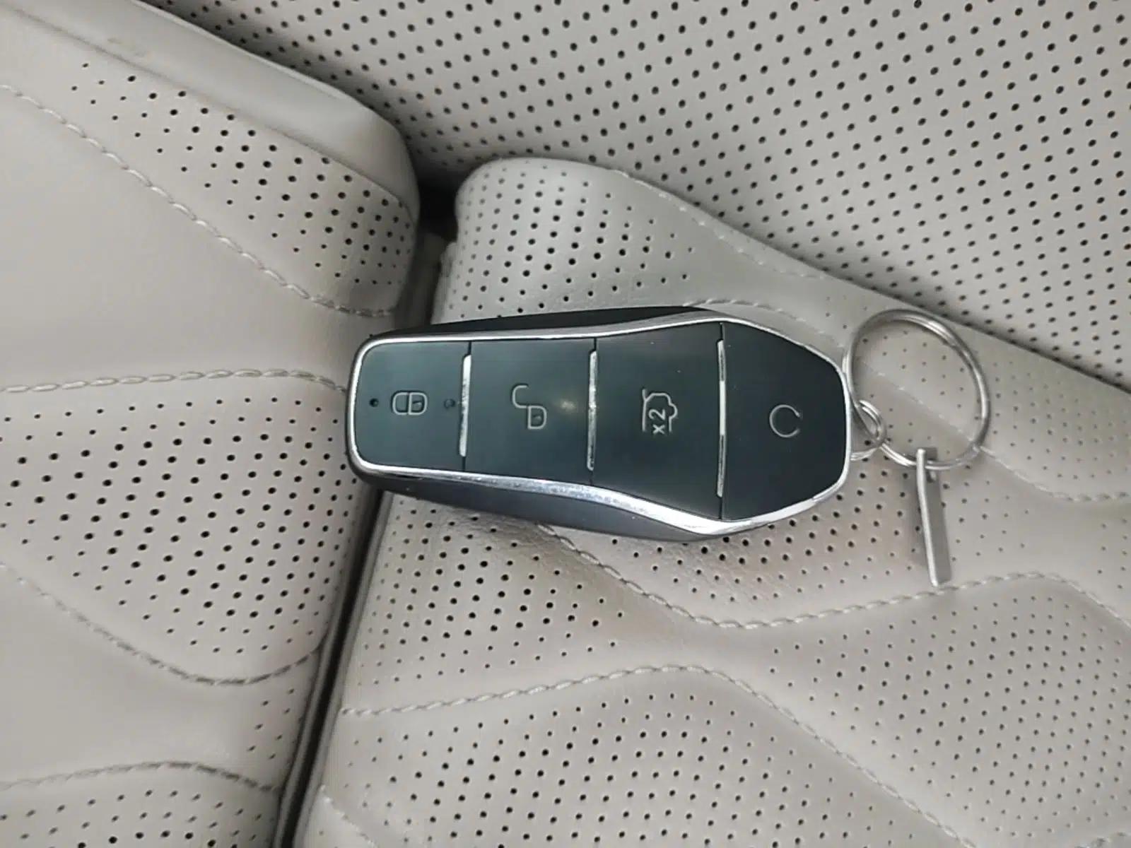 BYD Tang New Energy 2025 DM-i 115KM Cloud Ride Flagship Model — миниатюра 28