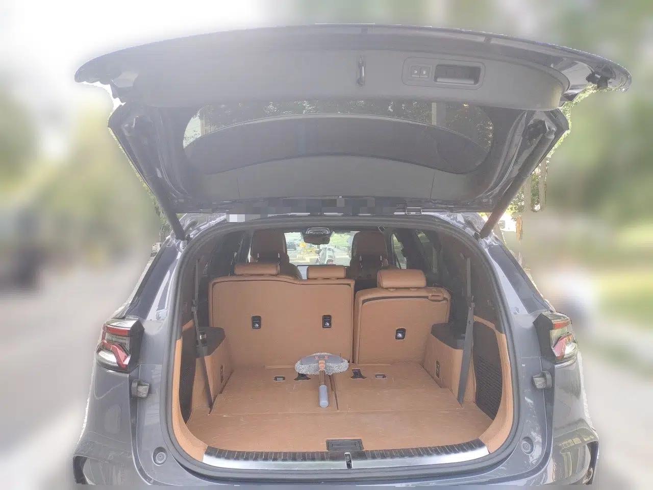 BYD Tang New Energy 2022 DM-p 215KM Four-Wheel Drive Flagship Model — миниатюра 19