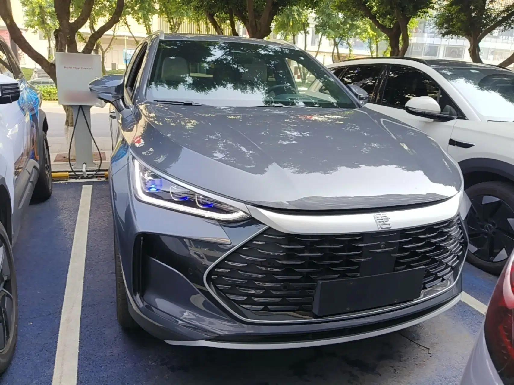 BYD Tang New Energy 2022 DM-p 215KM Four-Wheel Drive Flagship Model — миниатюра 2