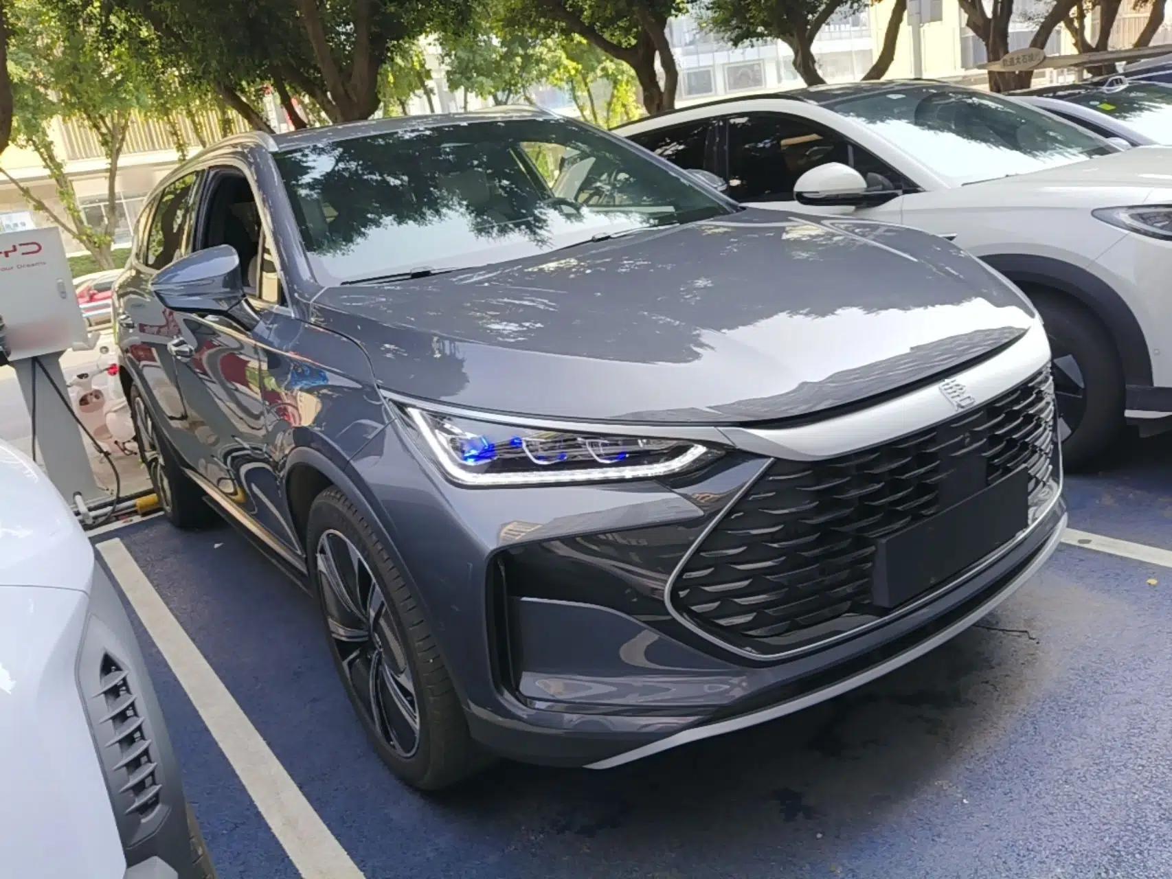 BYD Tang New Energy 2022 DM-p 215KM Four-Wheel Drive Flagship Model — миниатюра 12